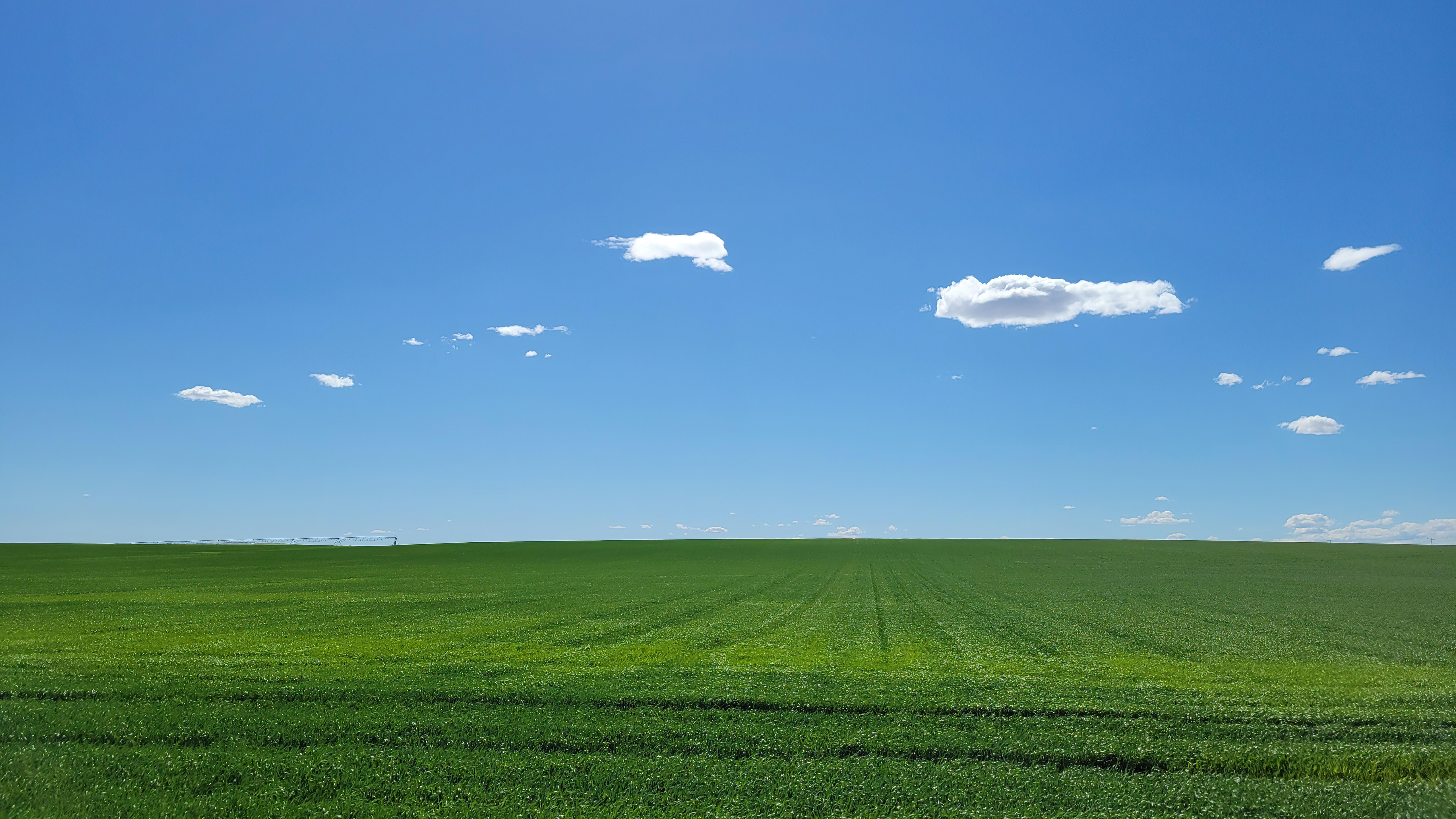 Vast green field under a blue sky with clouds HD Wallpaper