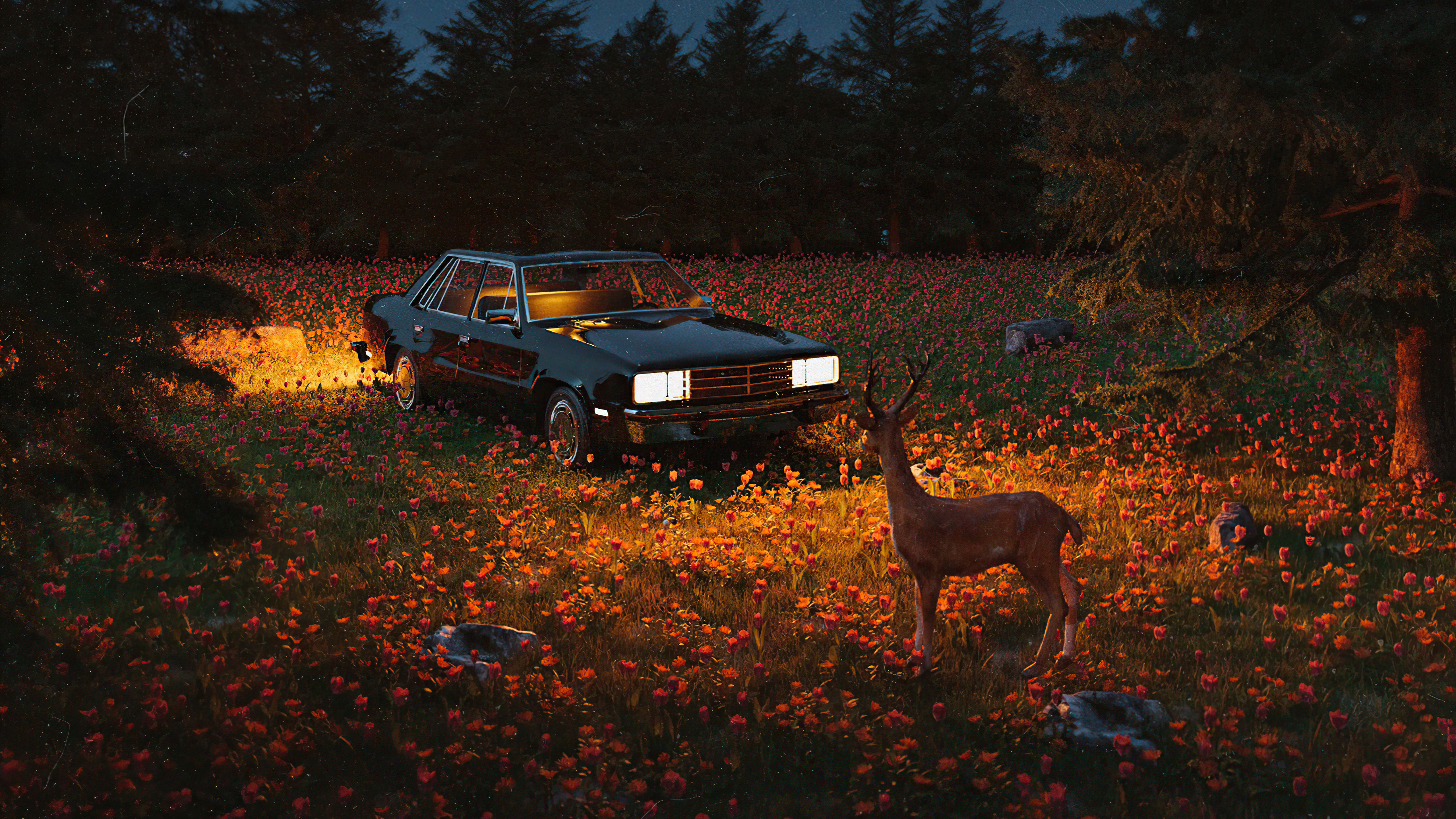 Deer and car in a field of flowers at night HD Wallpaper