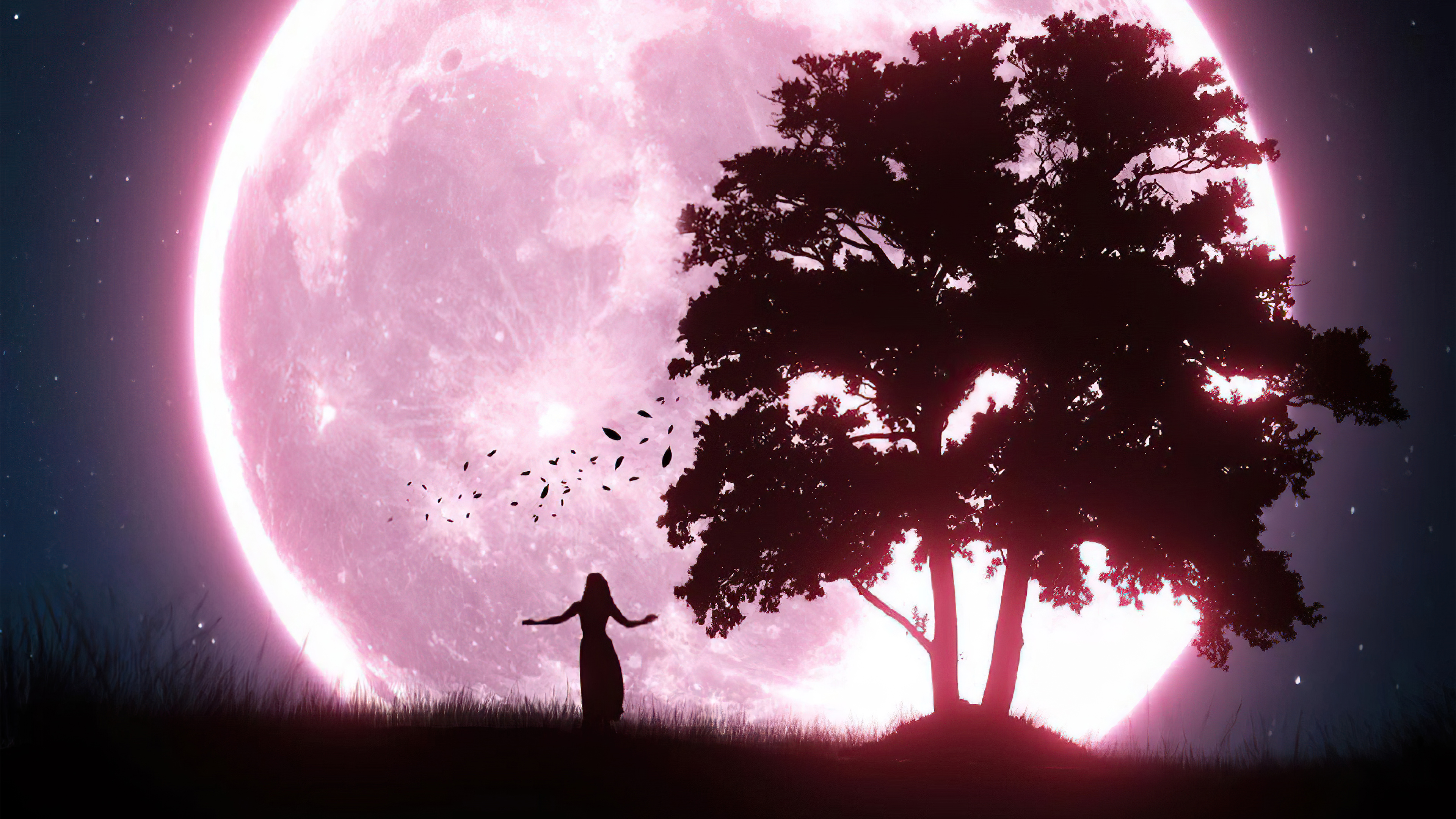 Silhouette of a woman and tree against a large pink moon HD Wallpaper