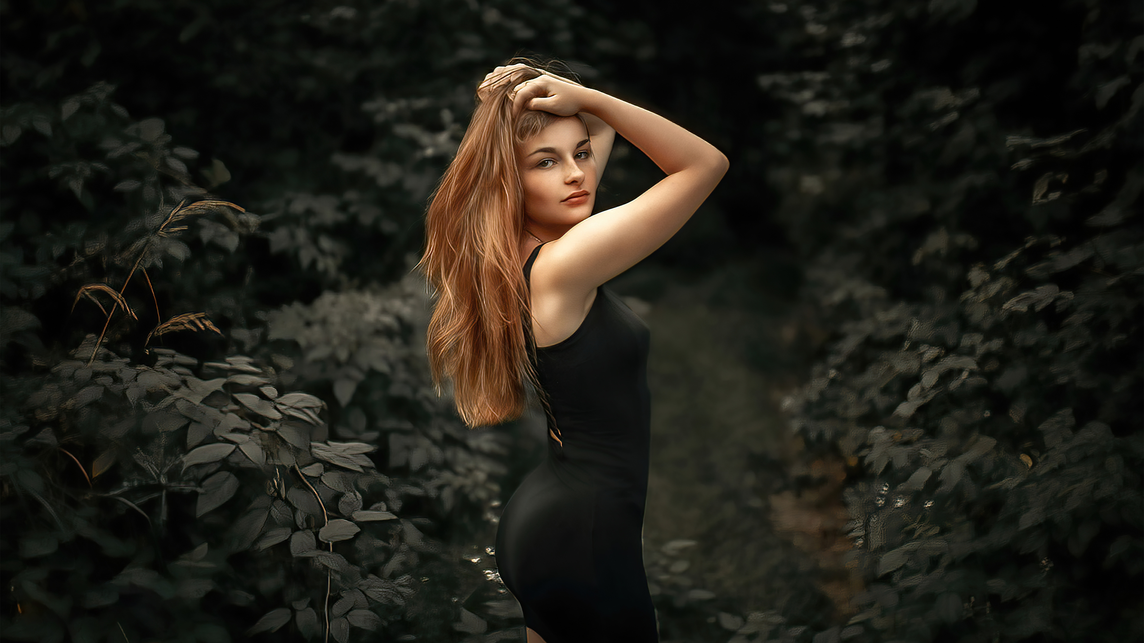 Elegant Model in Black Dress Poses in Forest HD Wallpaper