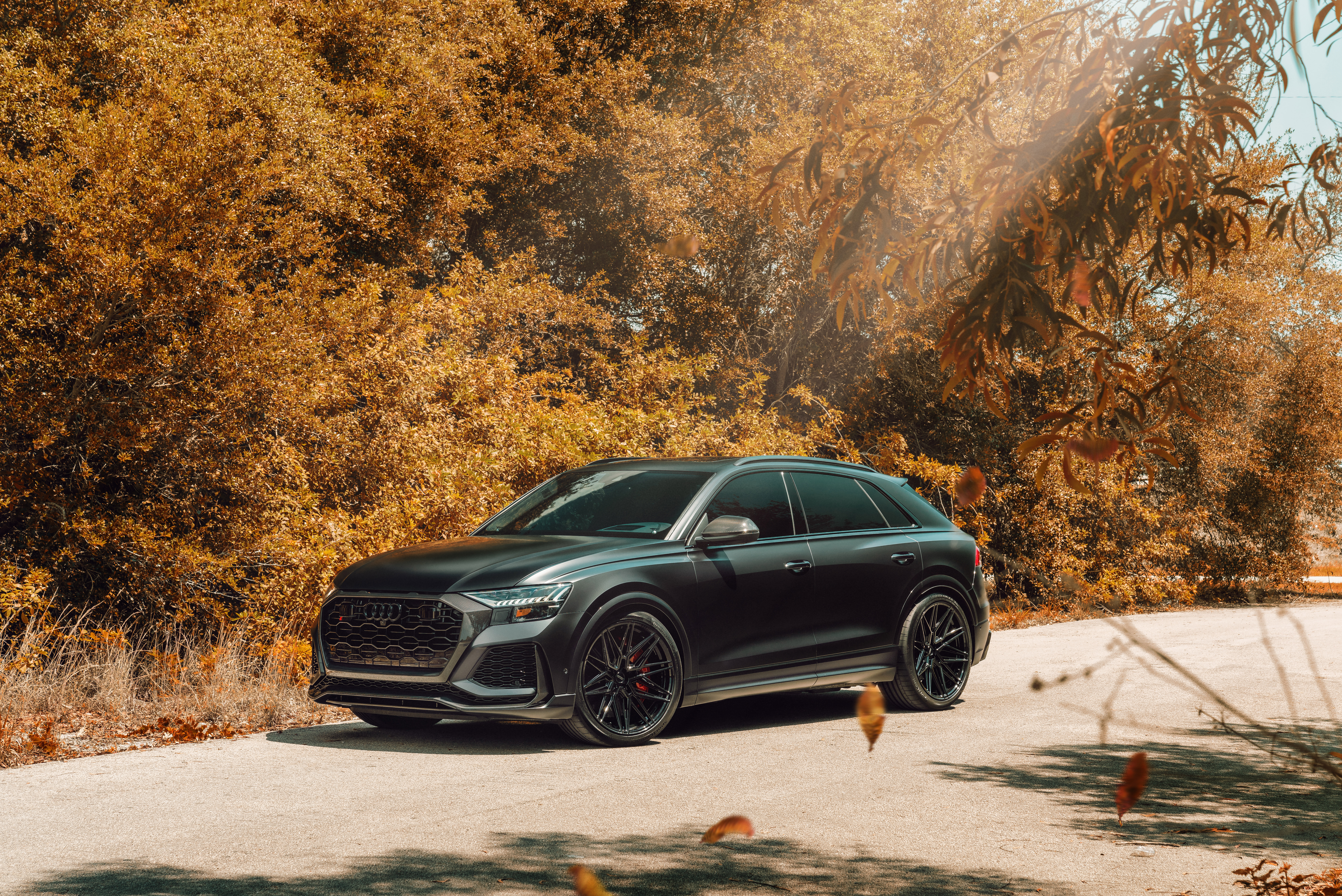 Audi RS Q8 SUV parked on a road with autumn trees HD Wallpaper