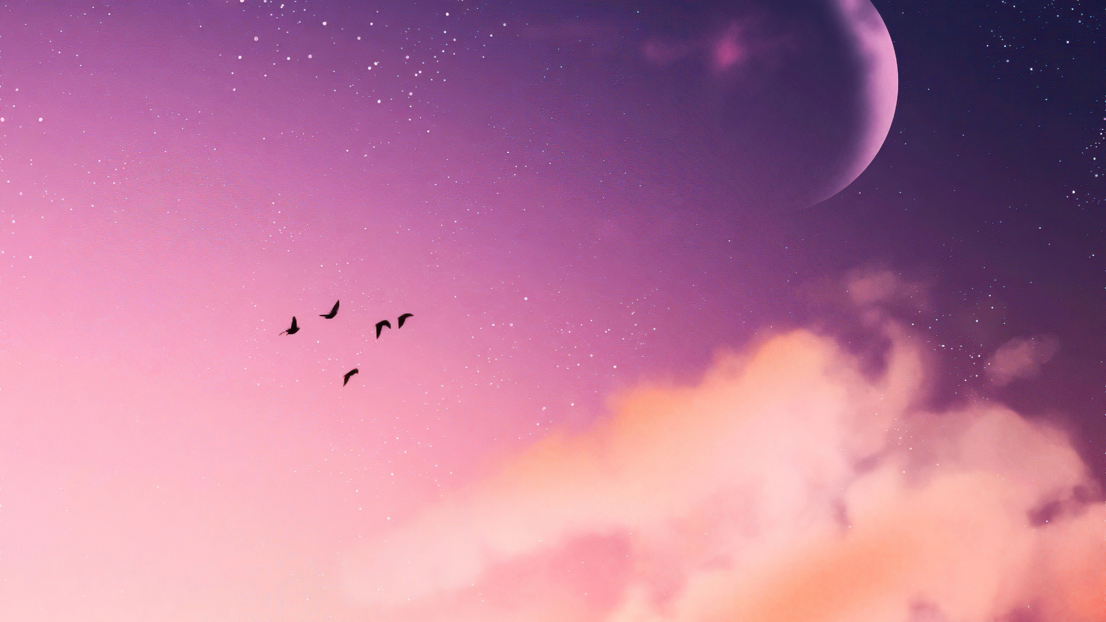 Birds flying in a purple and pink sky with clouds and a planet HD Wallpaper