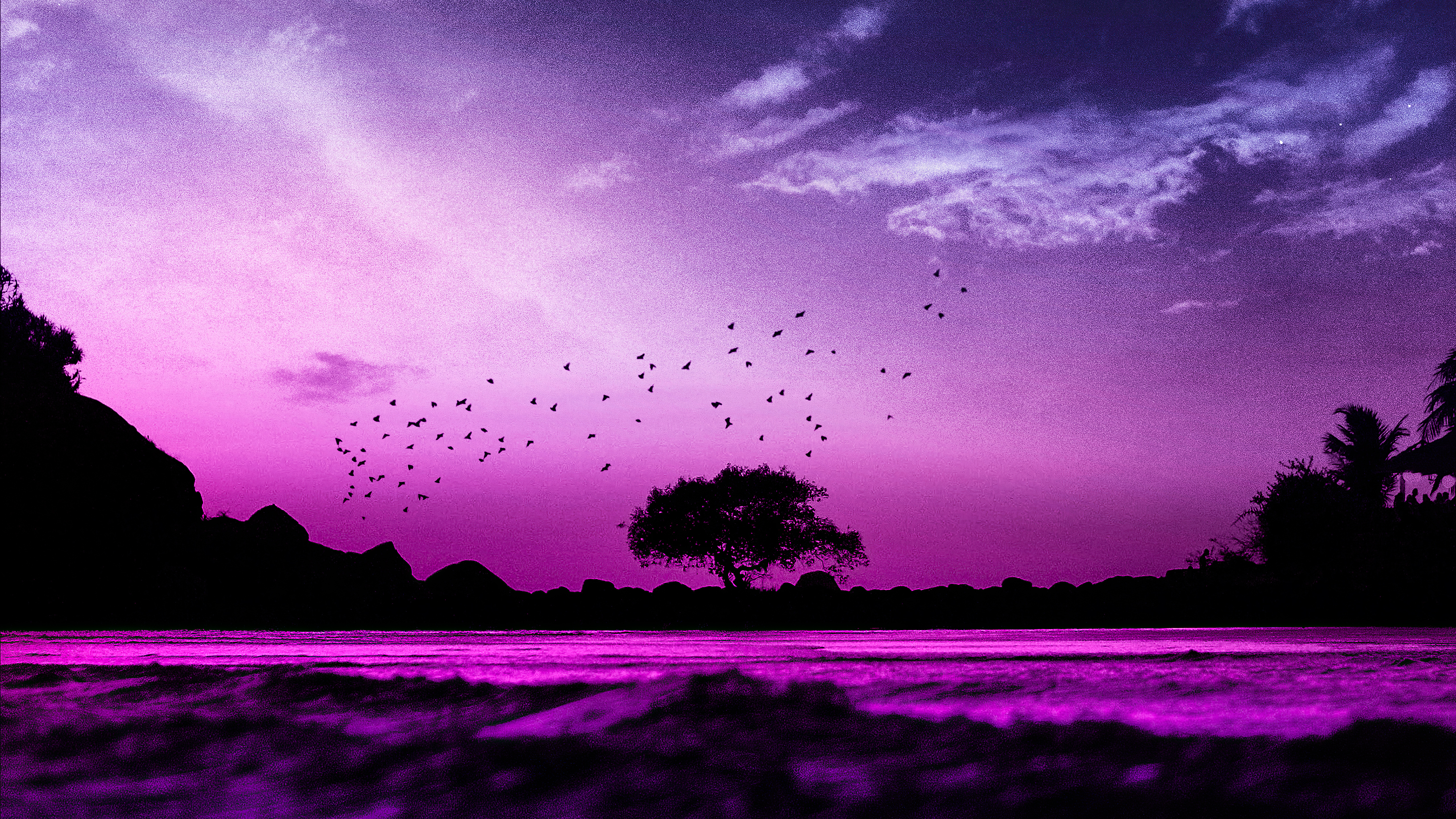 Birds flying over a purple ocean at sunset HD Wallpaper