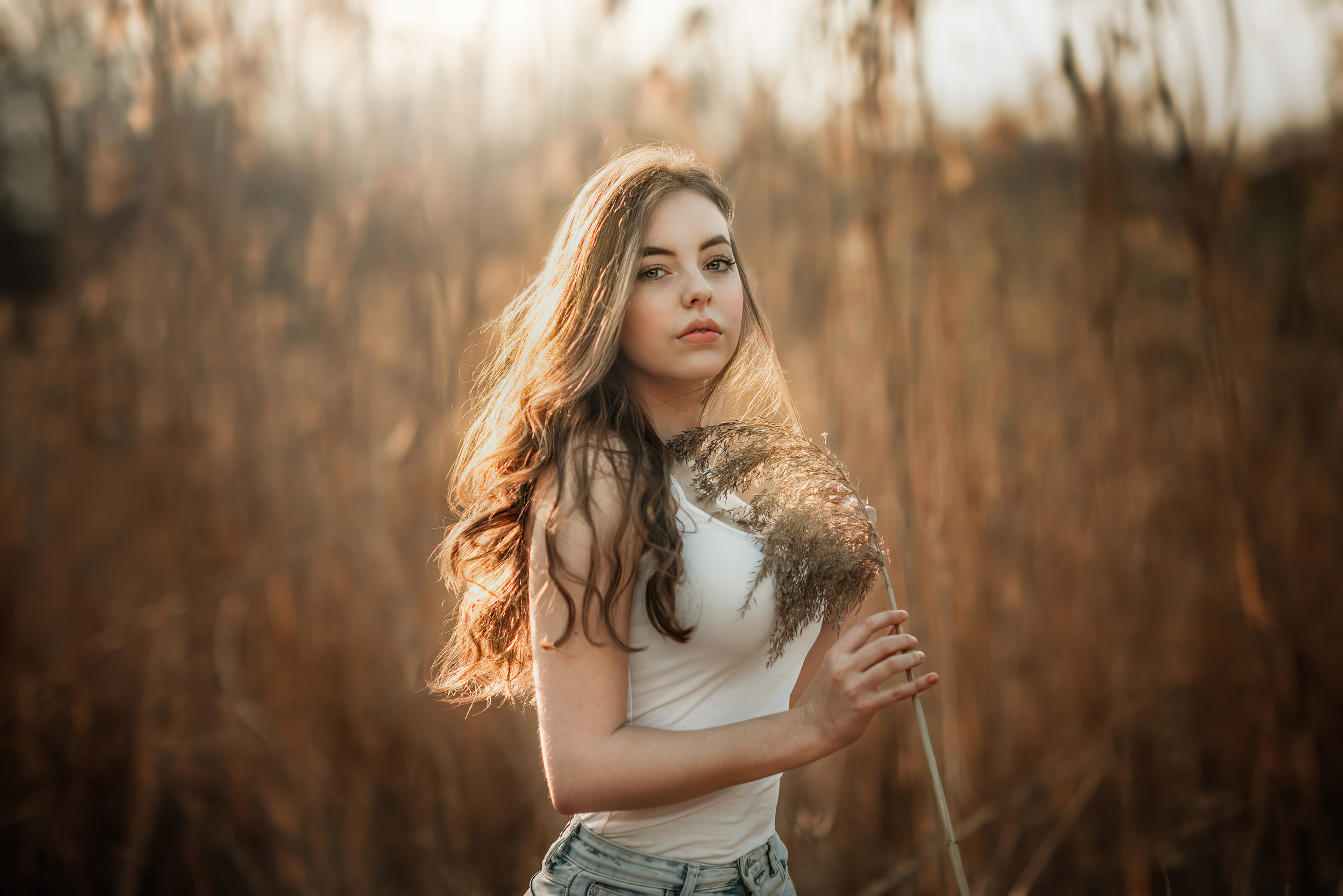 Young woman holding a dried plant in a field HD Wallpaper