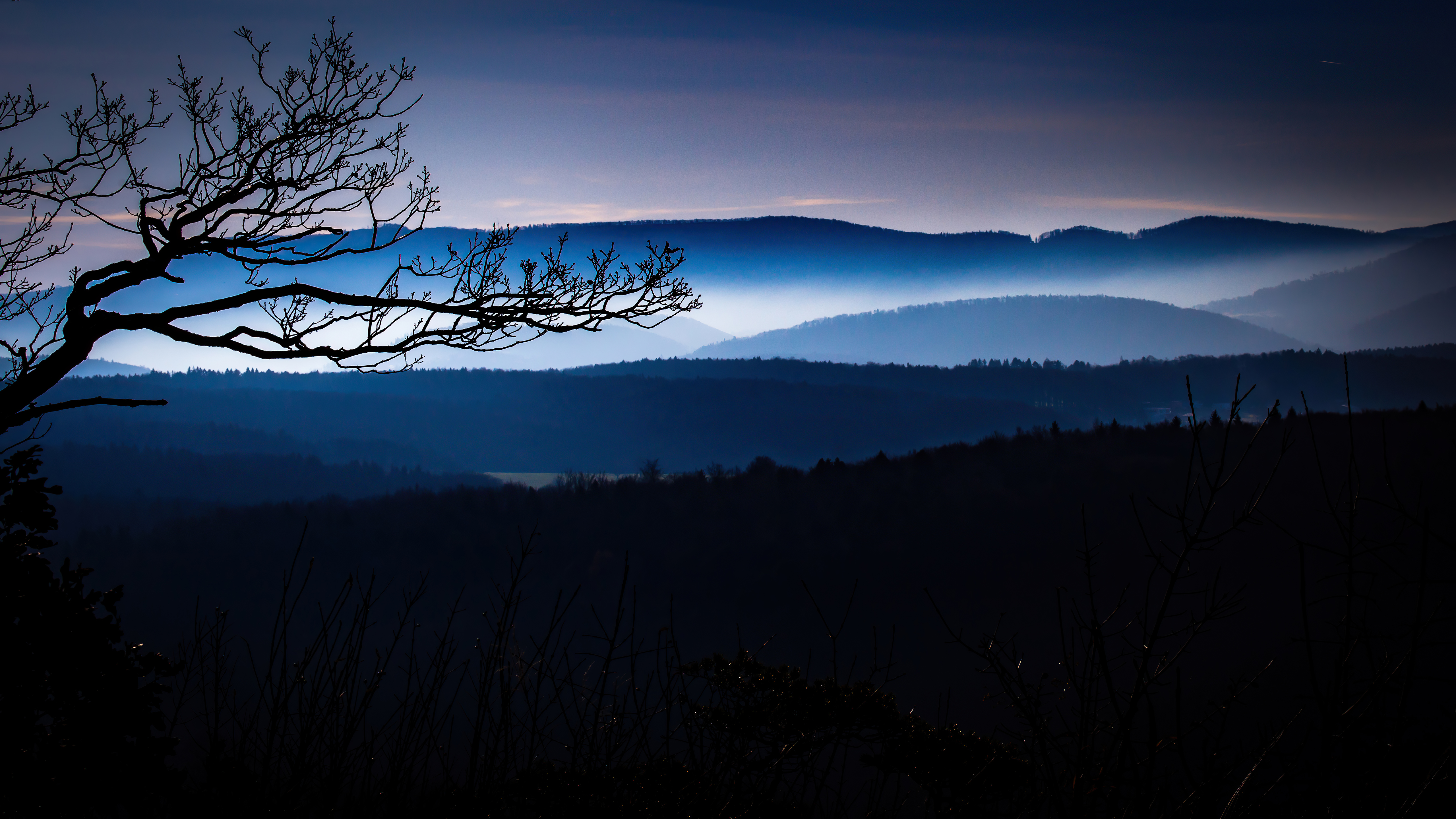 Misty mountains and bare tree branches at dusk HD Wallpaper