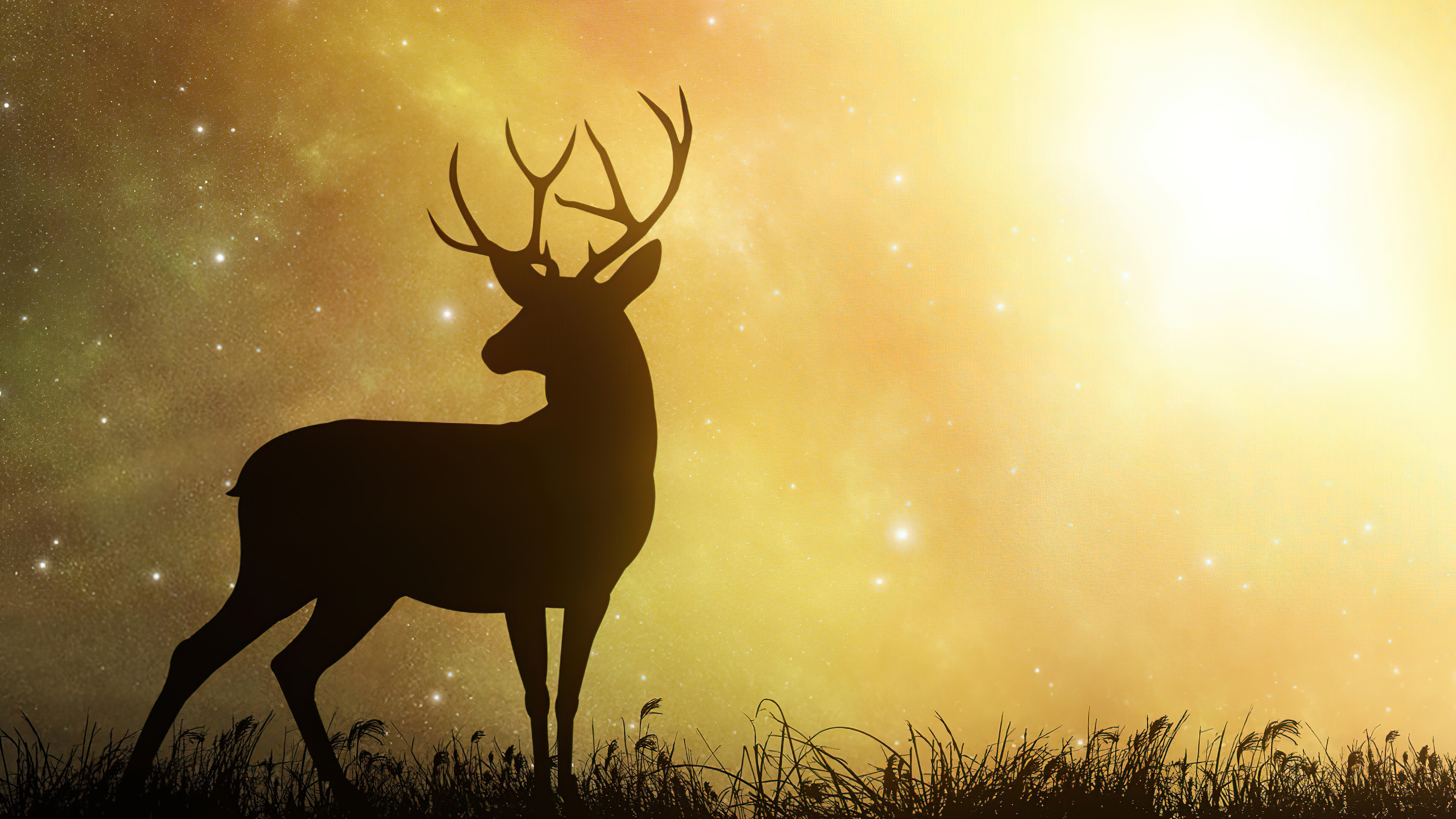 Silhouette of a deer against a starry, glowing sky HD Wallpaper