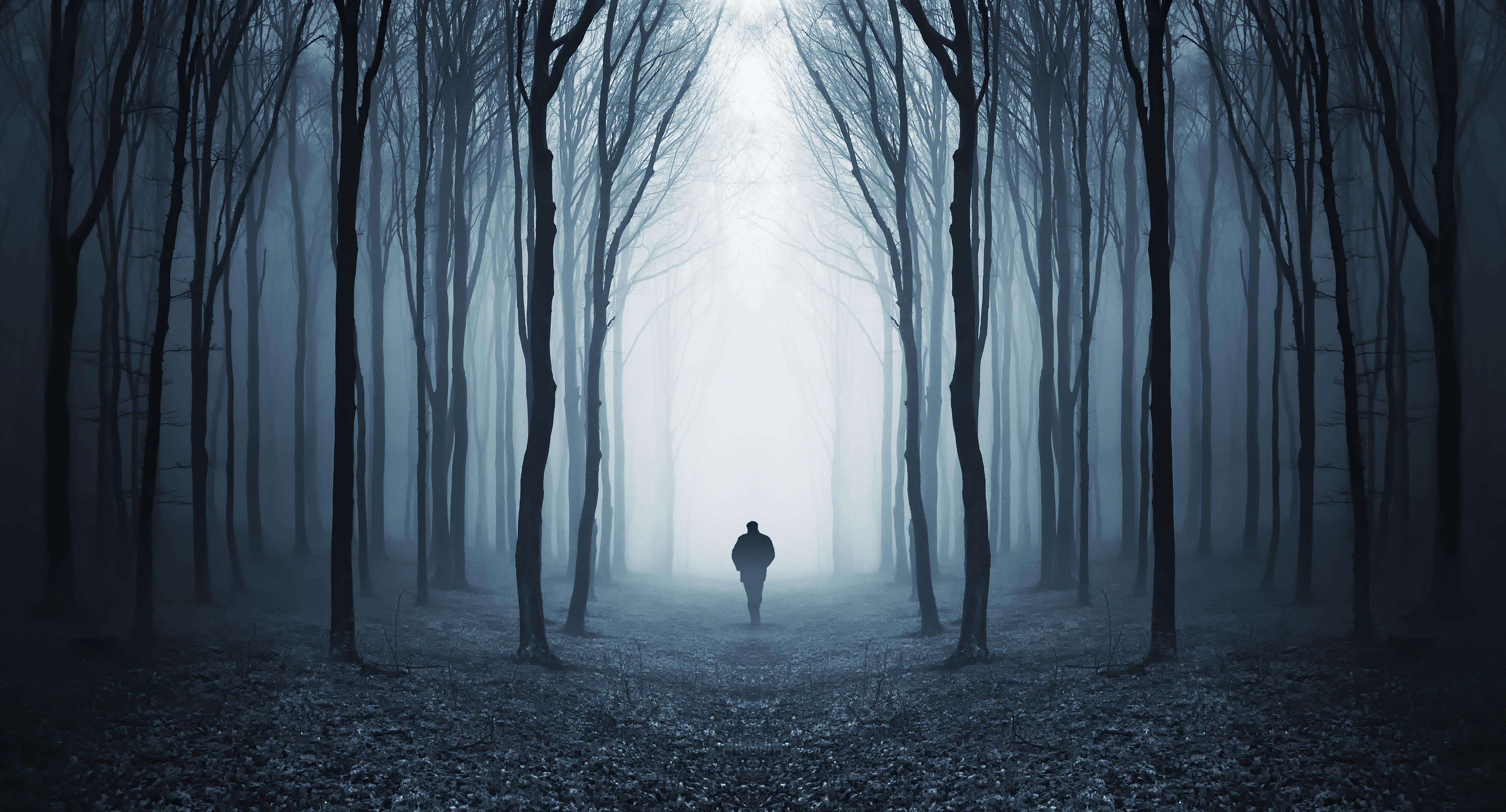 A person walks through a dark, foggy forest HD Wallpaper