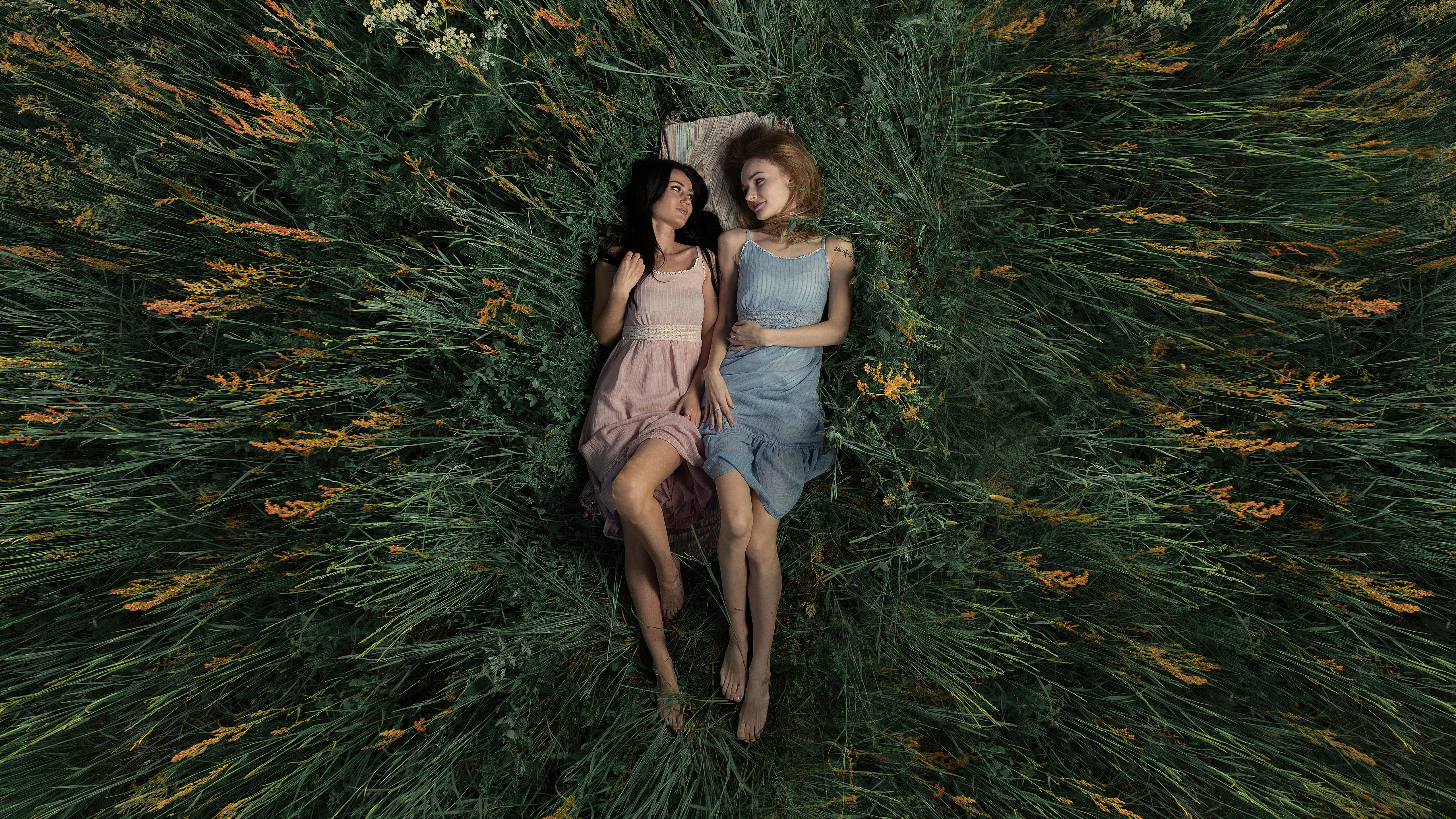 Two young women lying in a grassy field HD Wallpaper