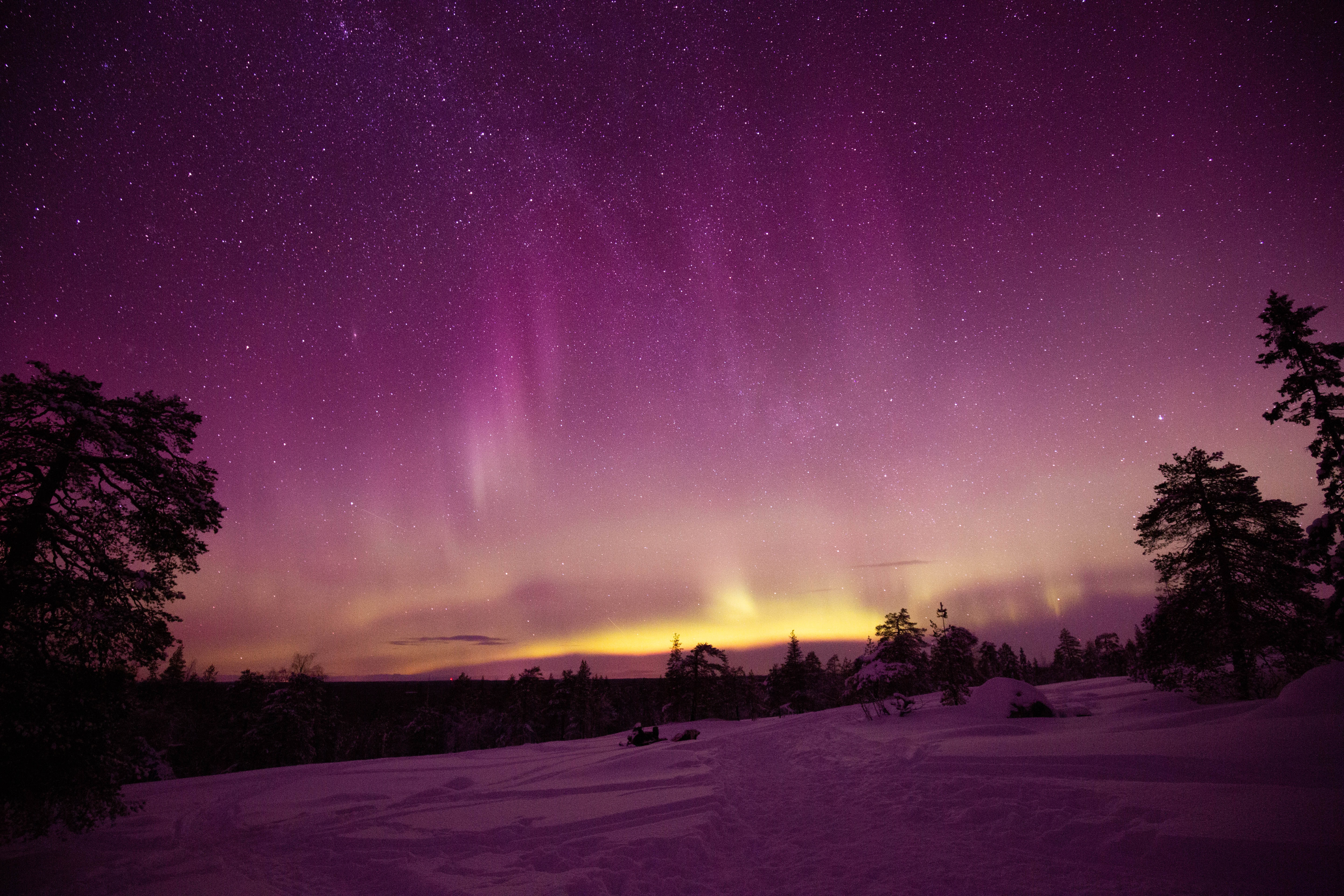 Aurora Borealis over a snowy forest landscape HD Wallpaper