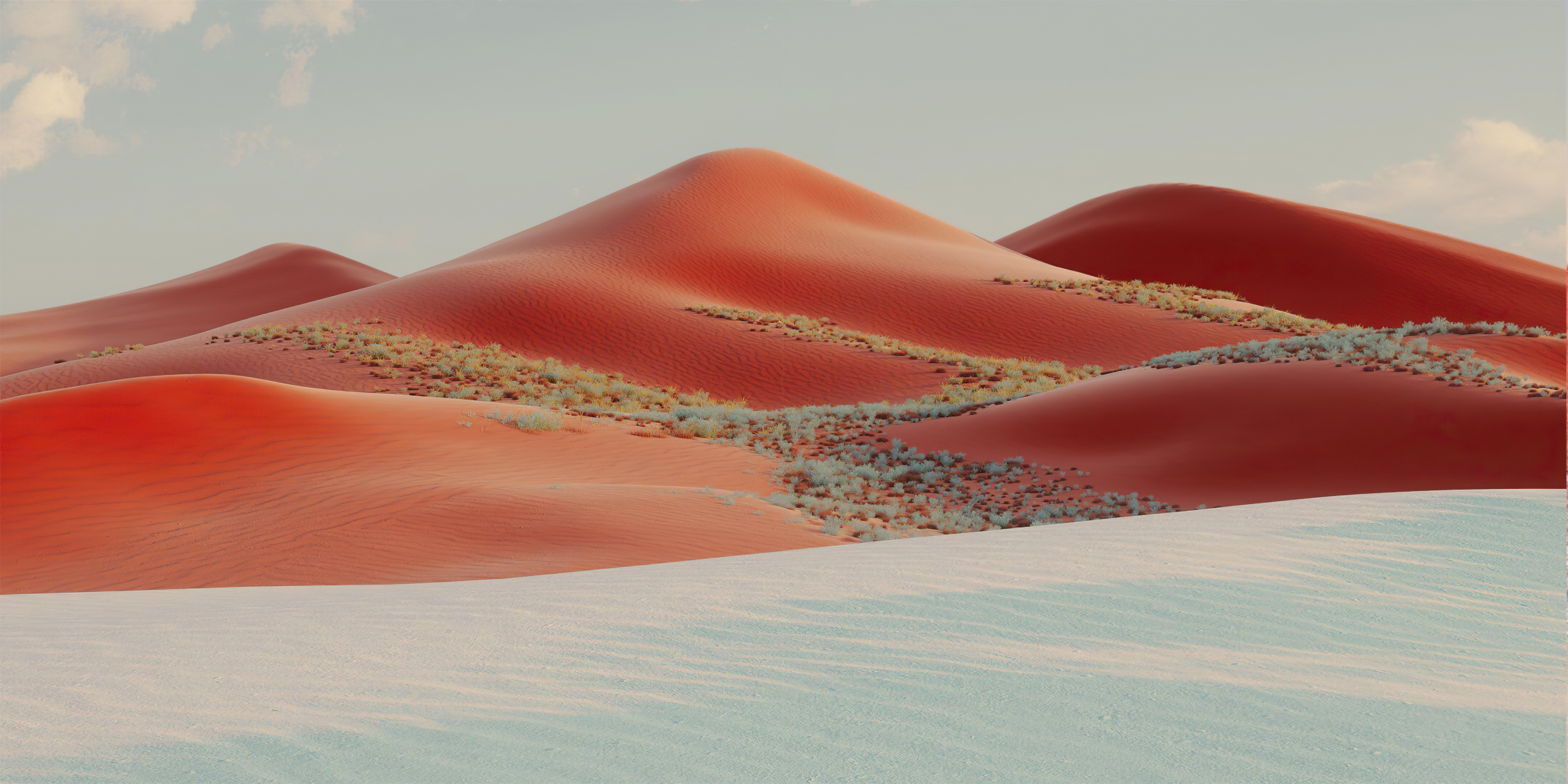 Red and white sand dunes with sparse vegetation HD Wallpaper