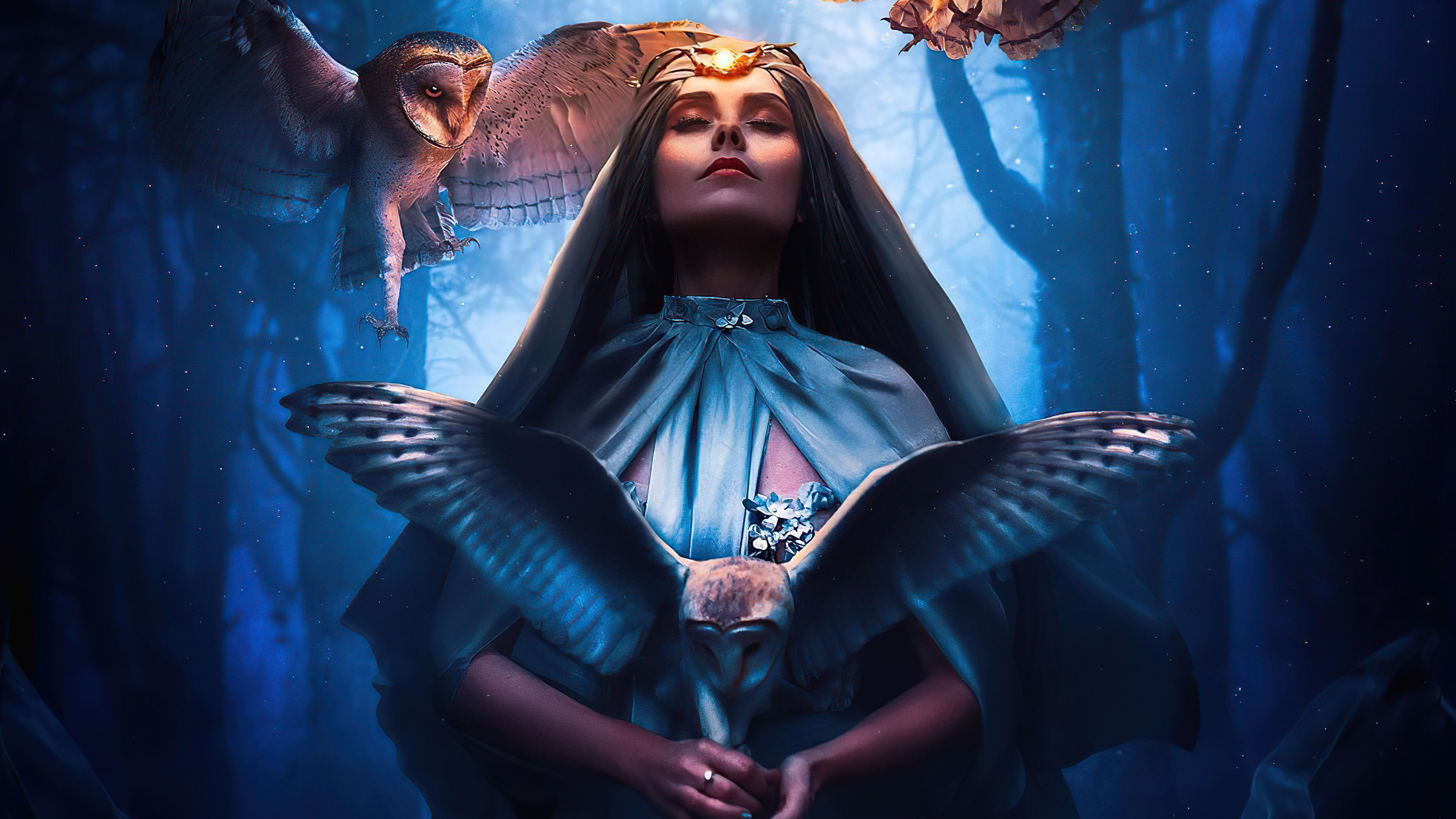 Woman with owls in a forest HD Wallpaper