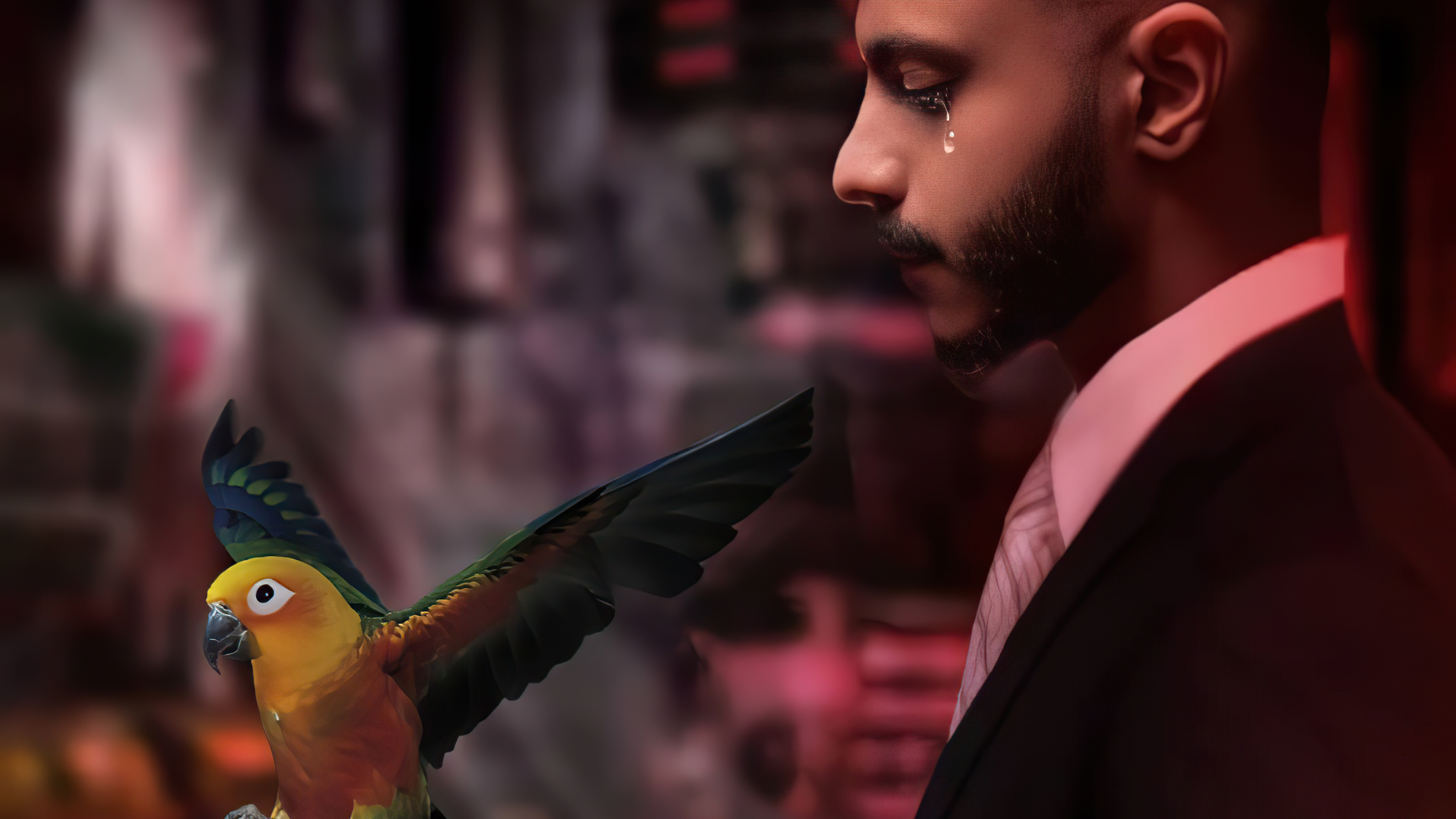 Man with a parrot, digital art HD Wallpaper