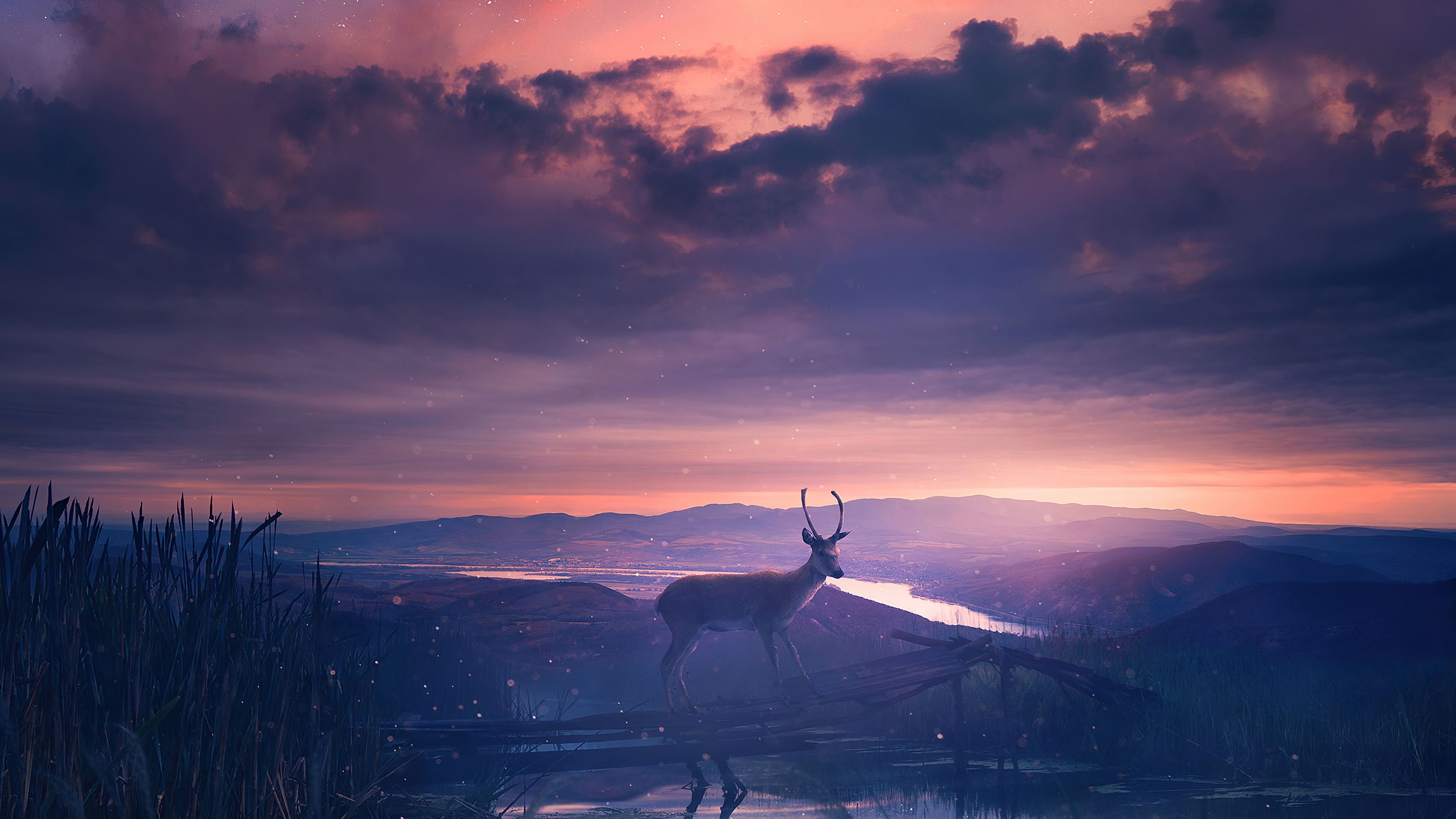 Deer standing by a lake at sunset, digital art 4K HD Wallpaper