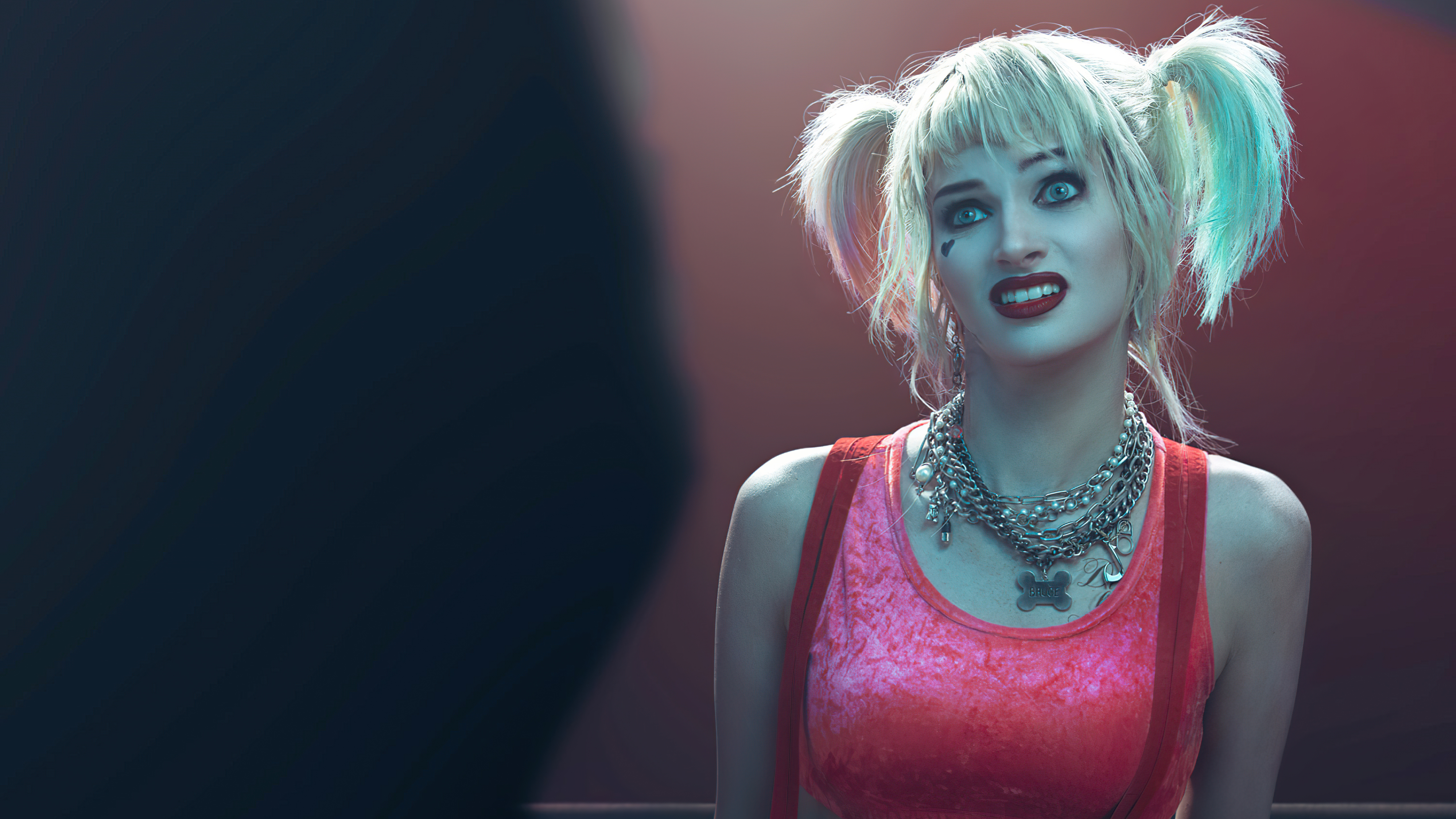 Harley Quinn from DC Comics HD Wallpaper