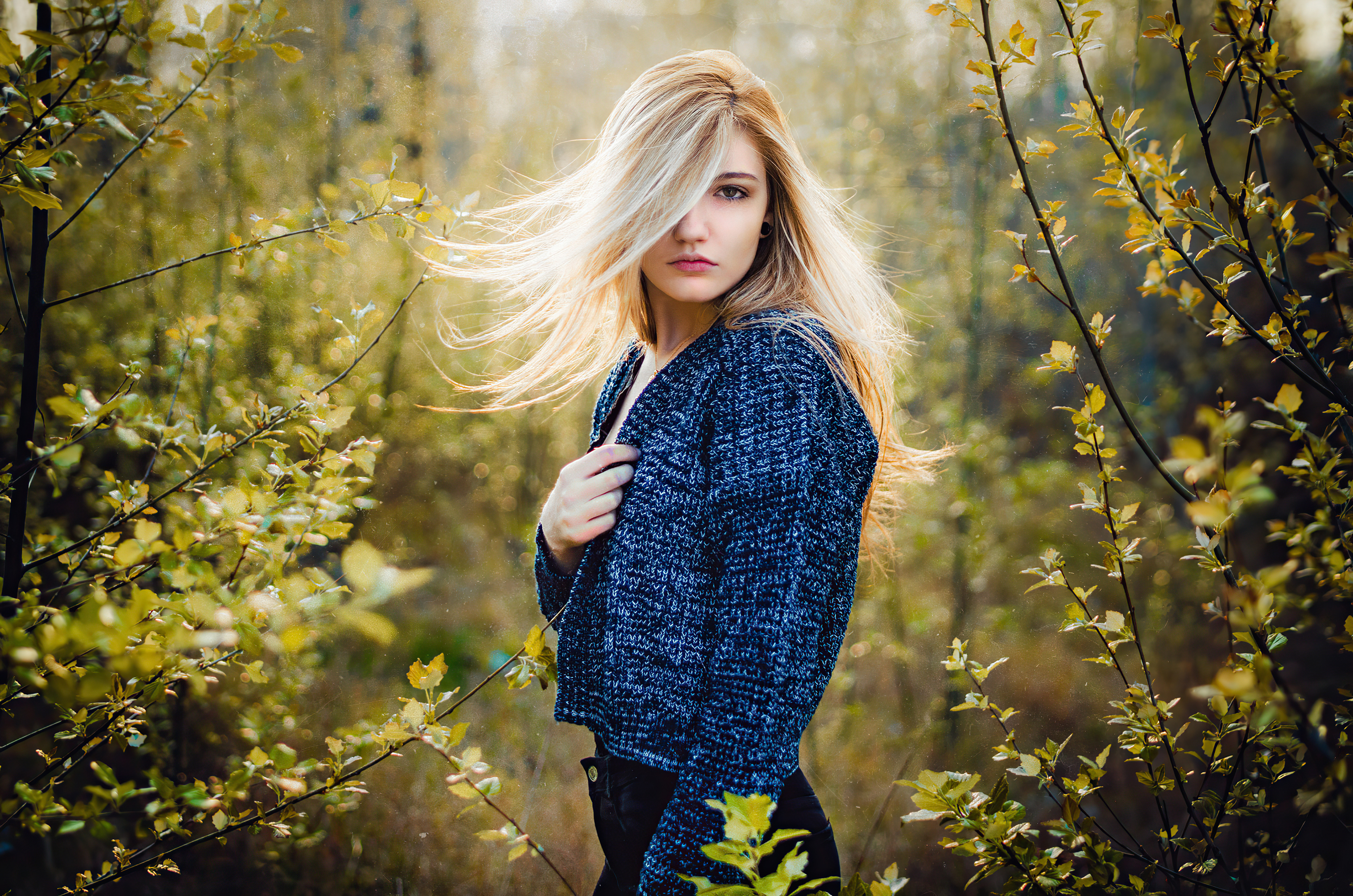 Blonde girl in a blue sweater in nature HD Wallpaper