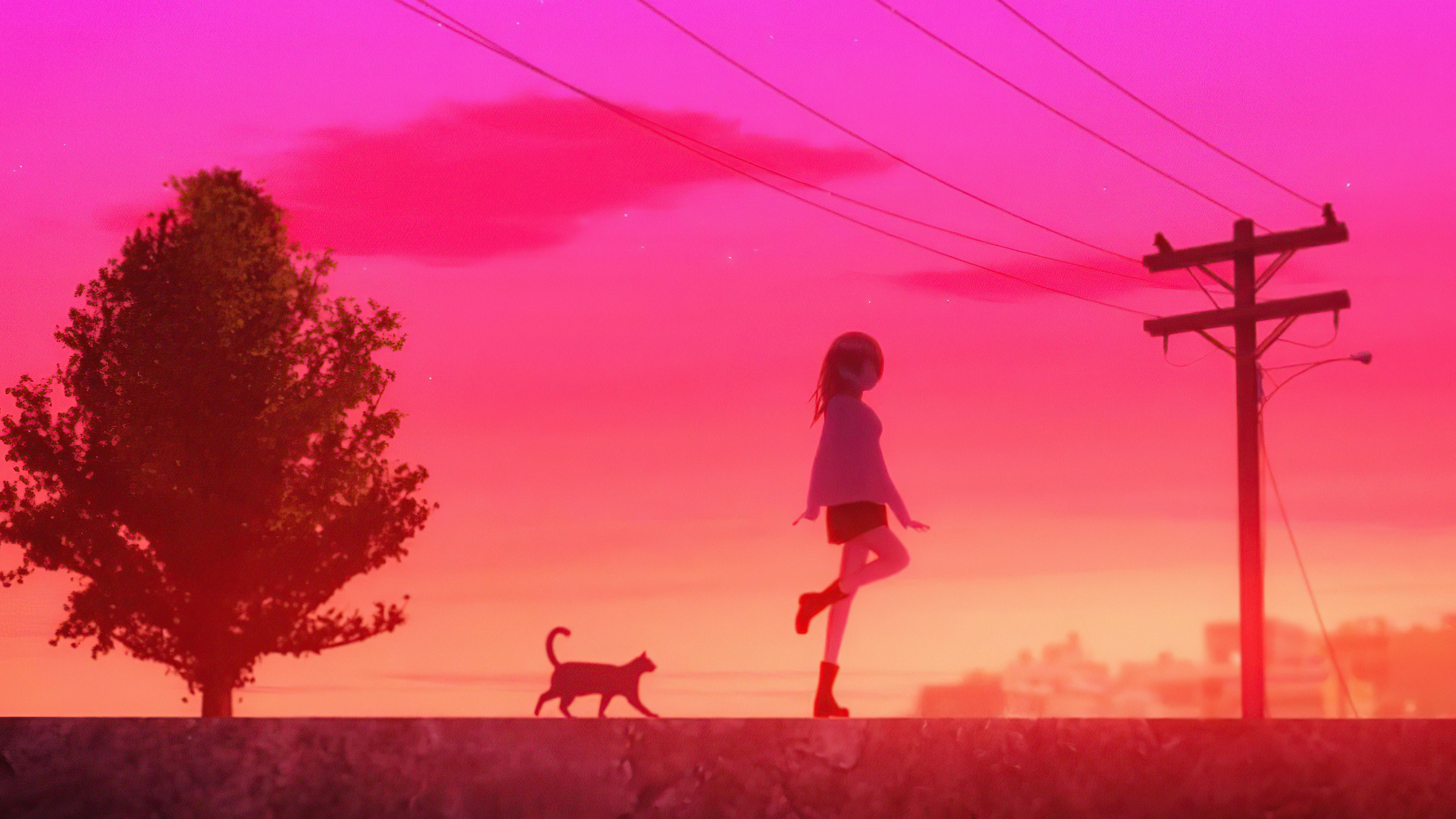 Girl and cat walking at sunset with power lines HD Wallpaper
