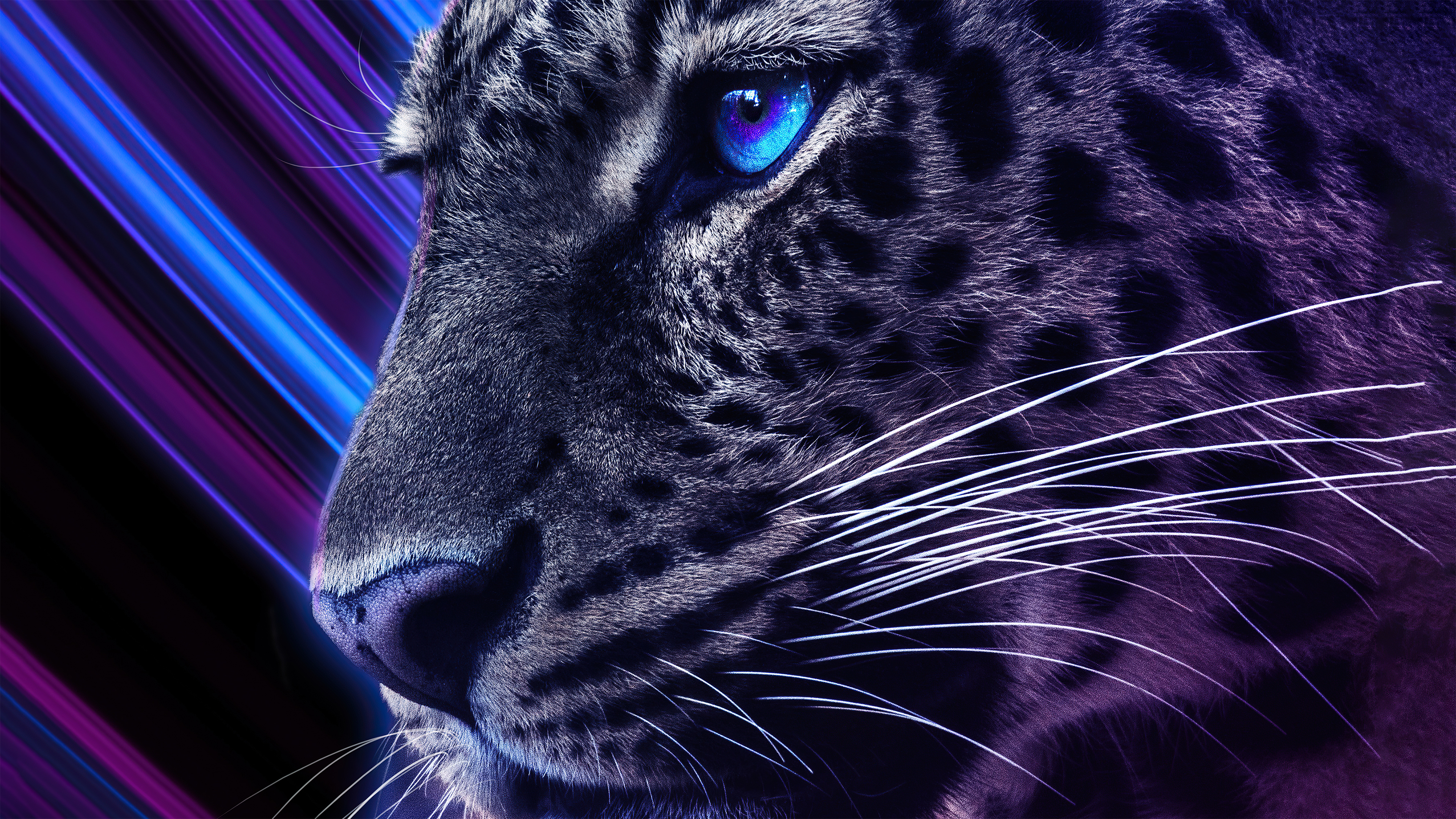 4K Digital Artwork of a Cheetah with Blue Eyes HD Wallpaper