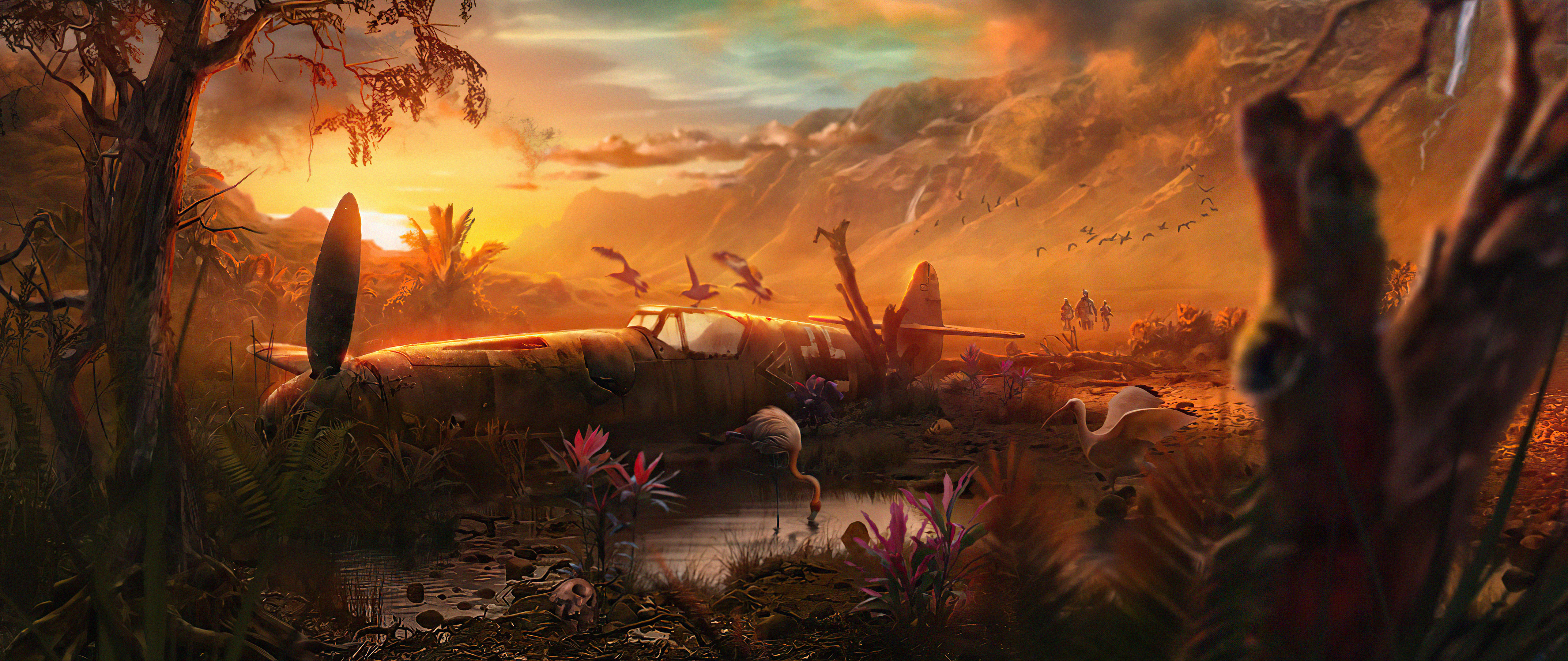 Wrecked airplane in a jungle at sunset HD Wallpaper