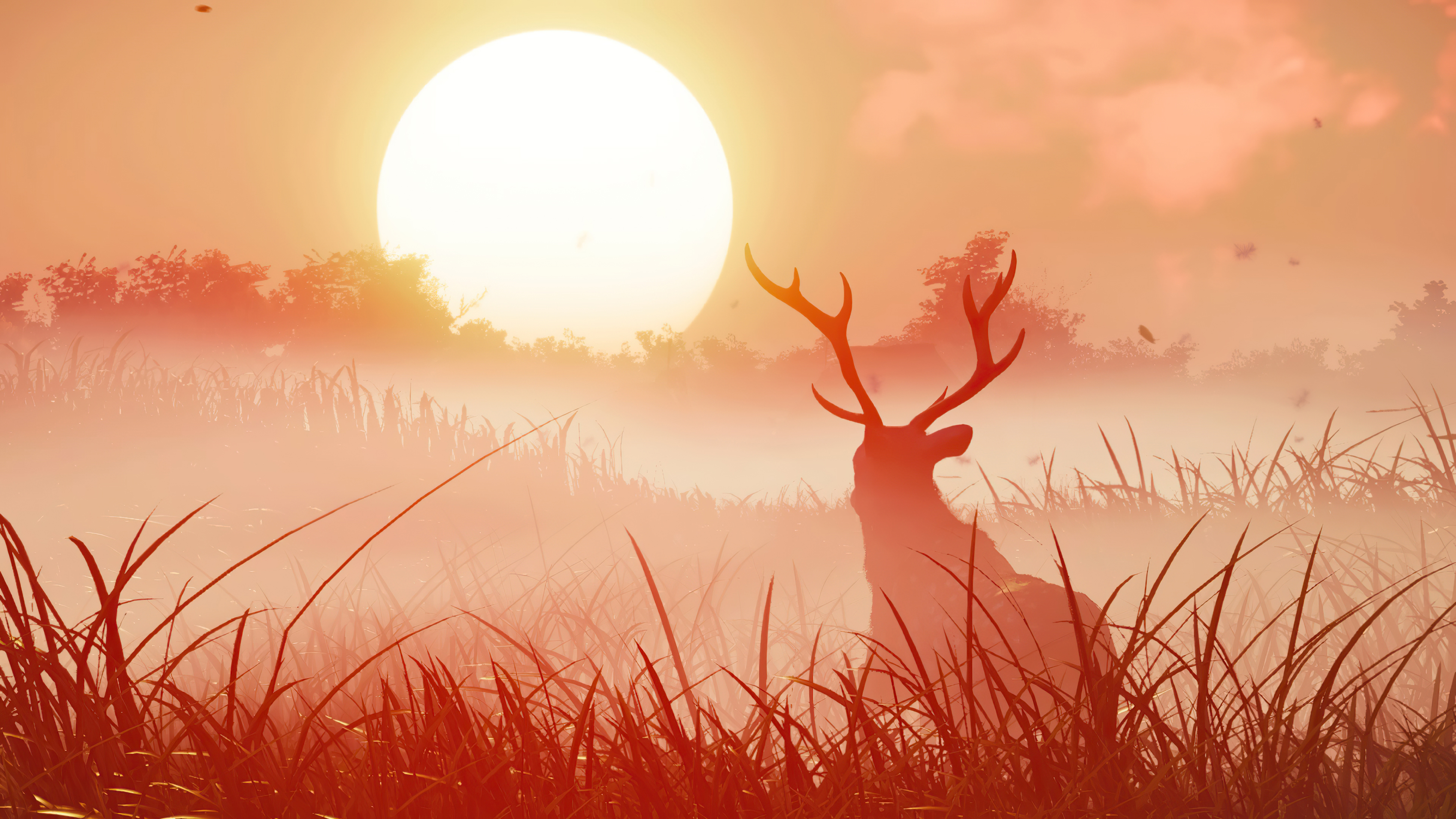 Deer in a foggy field with a large sun HD Wallpaper