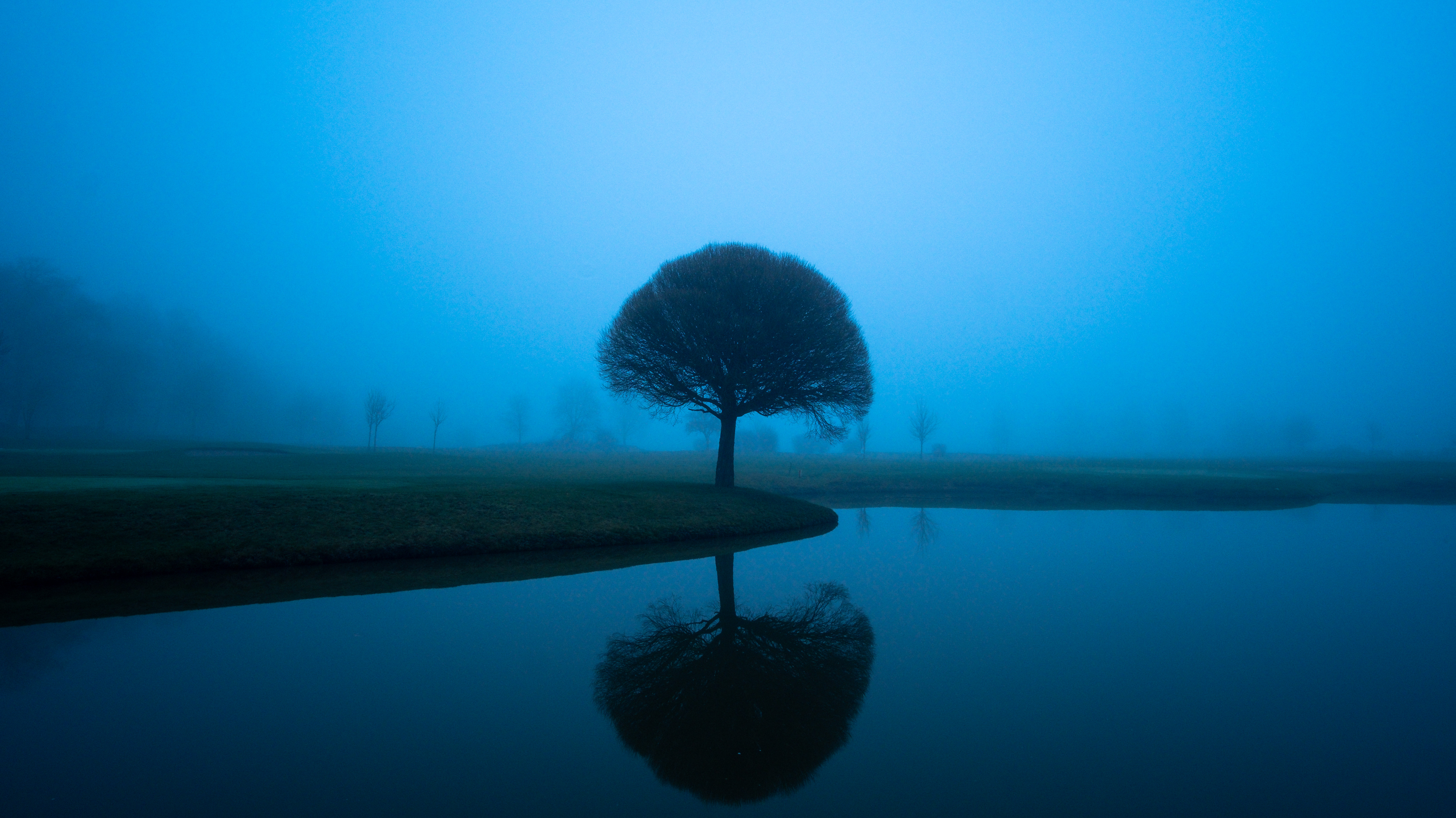 Tree reflected in water on a foggy day HD Wallpaper