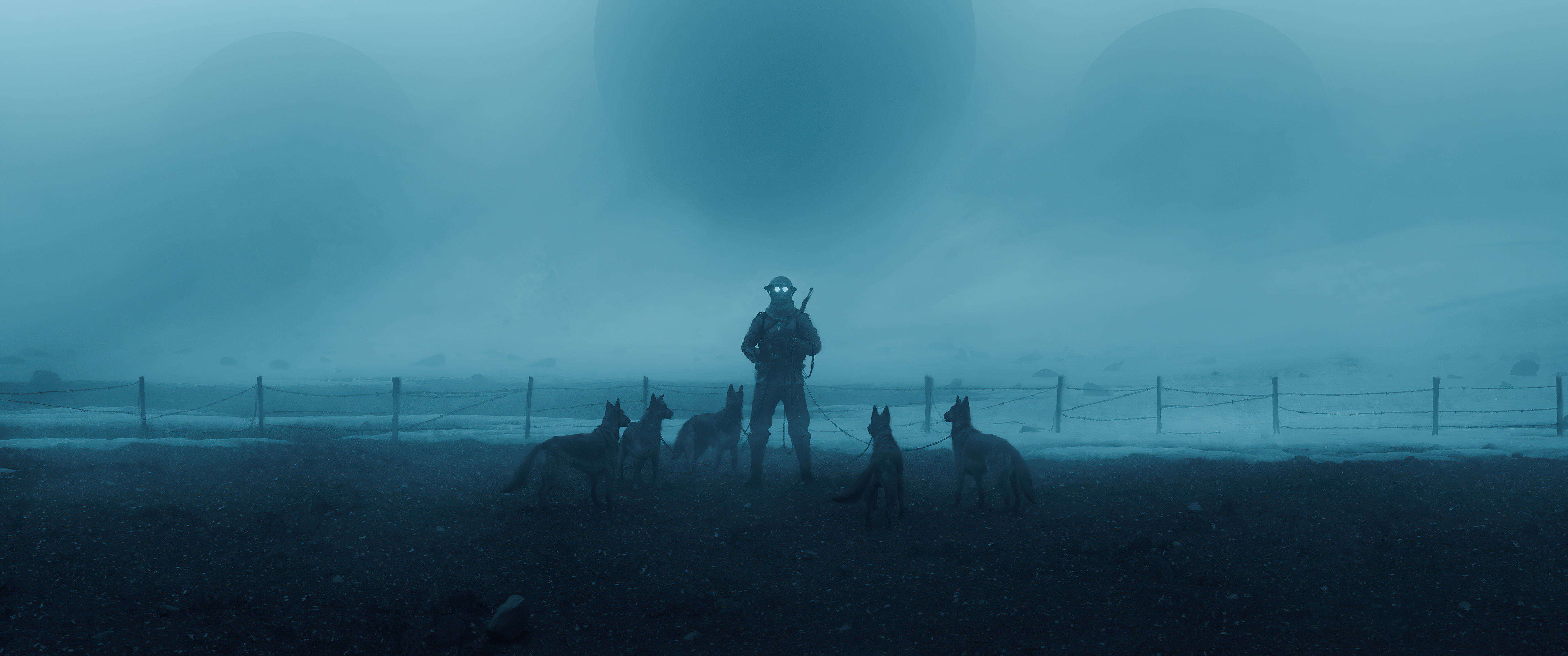Soldier with dogs in a foggy landscape HD Wallpaper