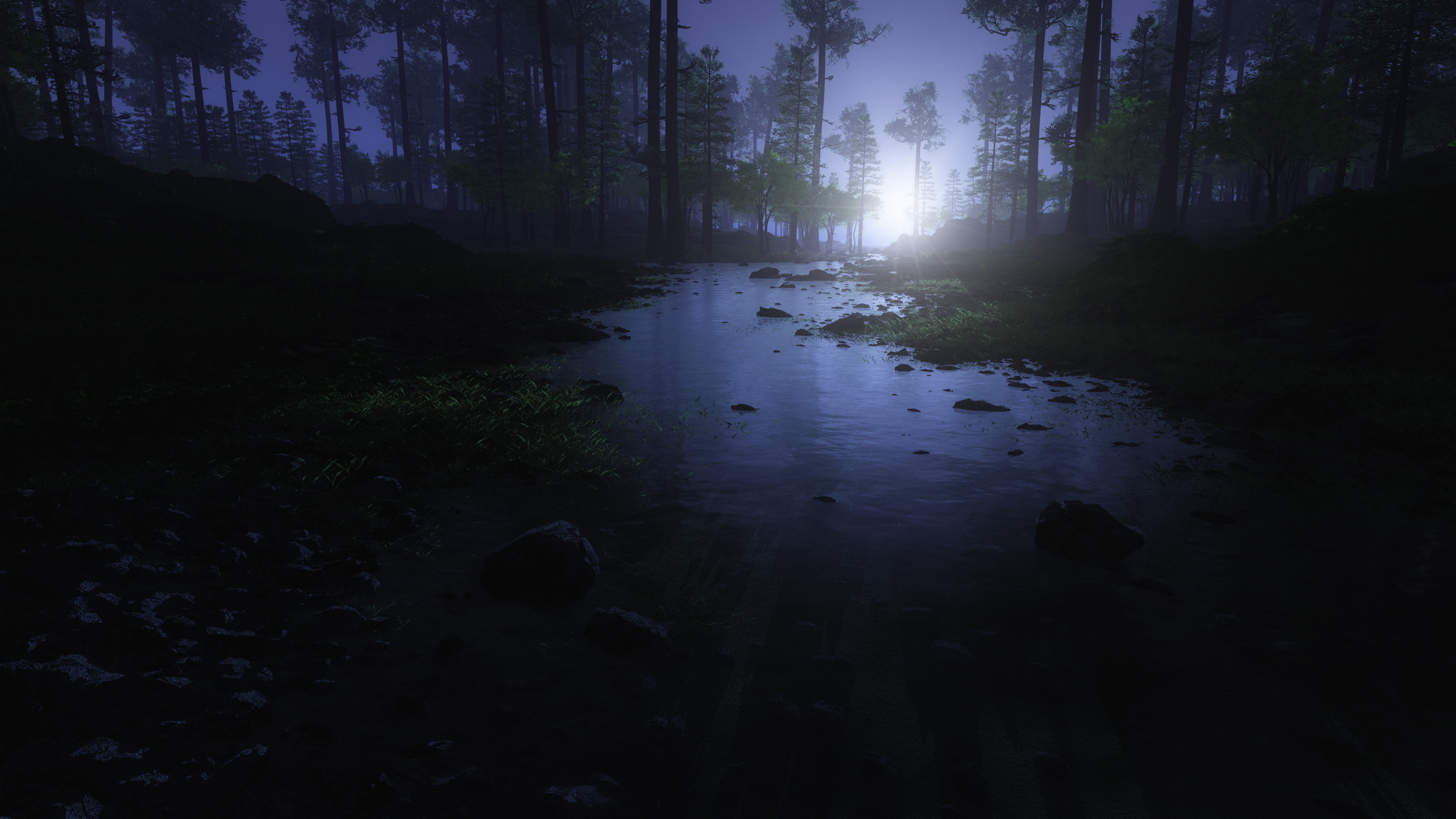 Night forest with a stream and light HD Wallpaper