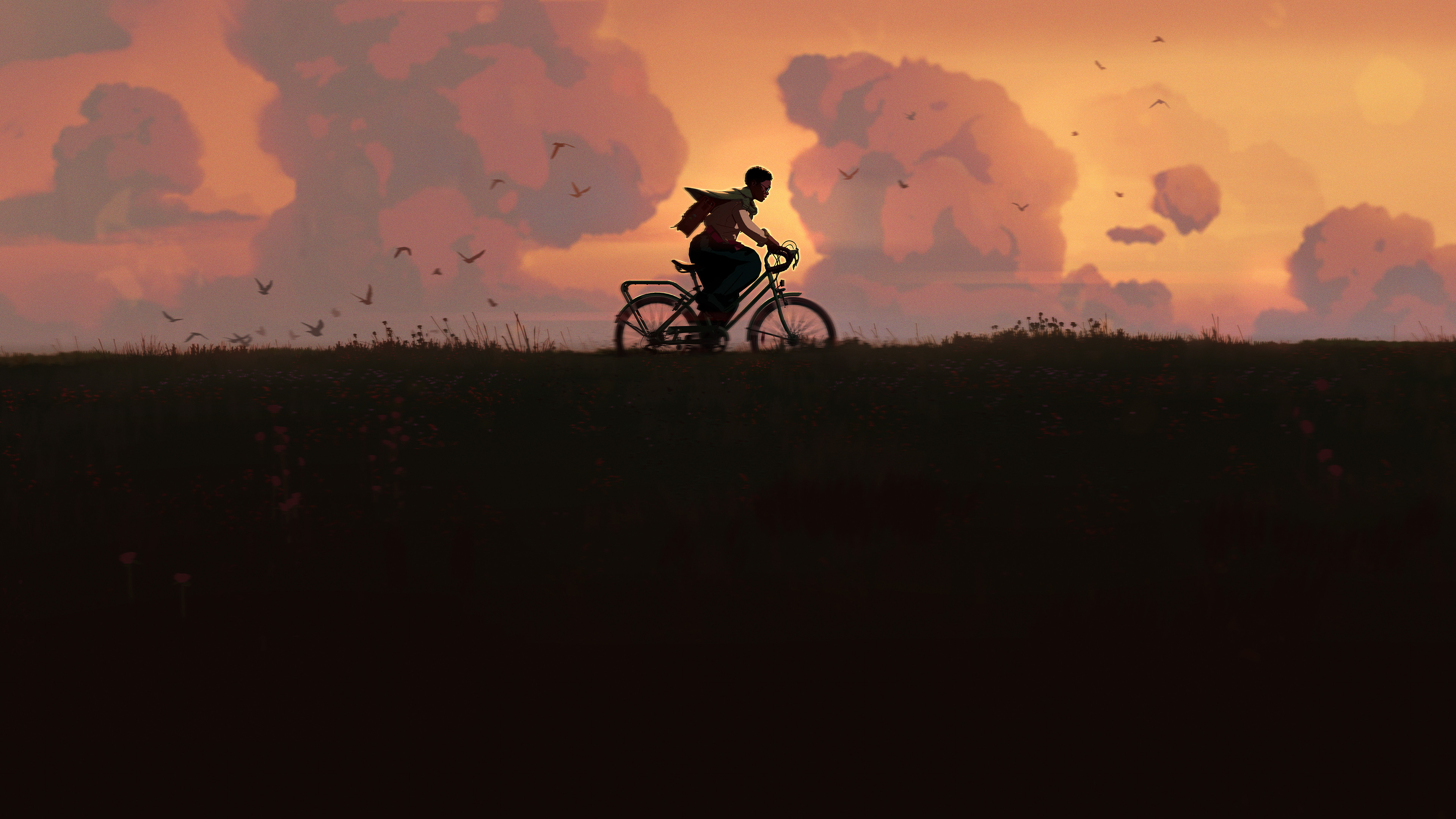 Person riding a bicycle at sunset with birds flying HD Wallpaper