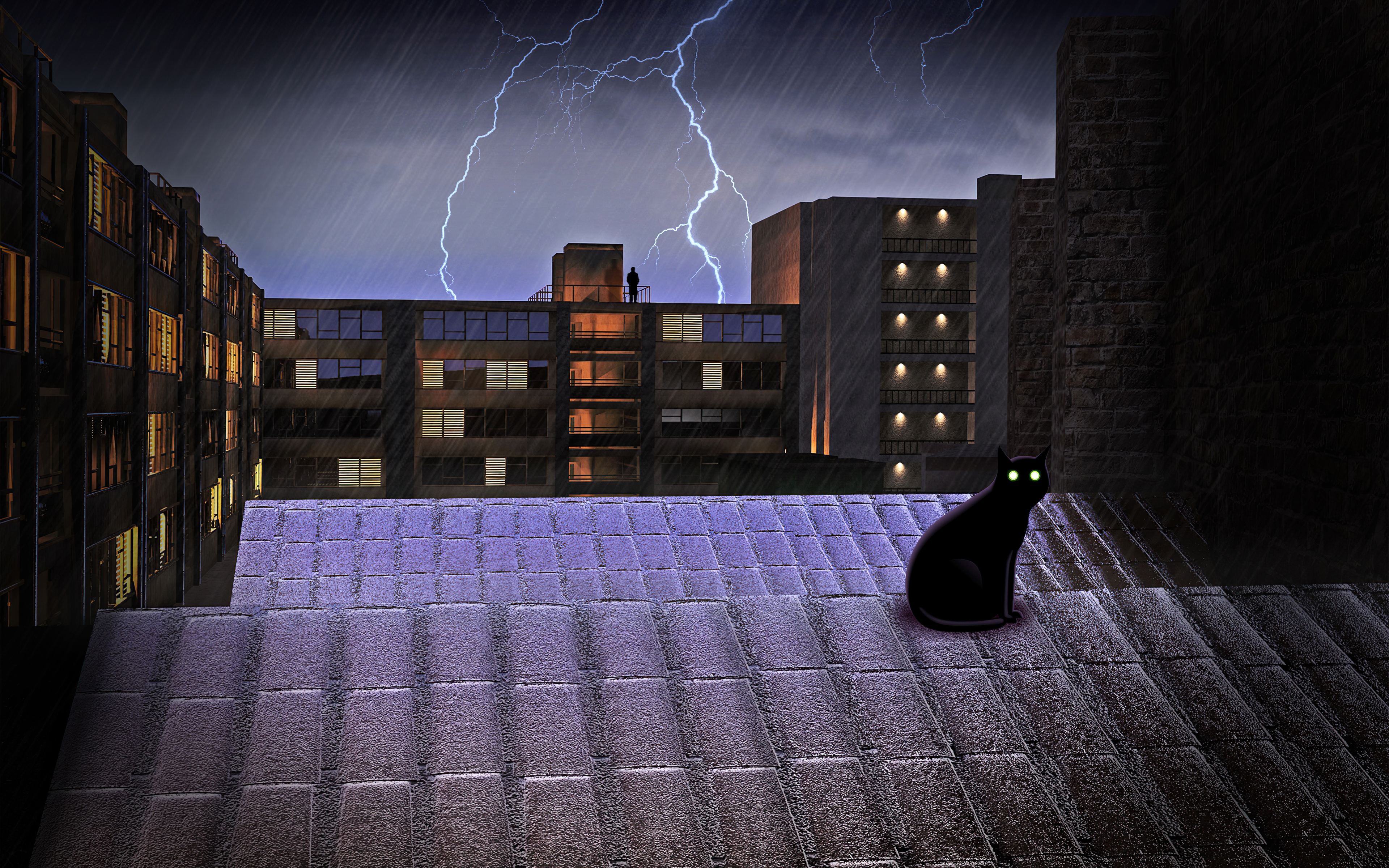 Black cat on a rooftop during a thunderstorm HD Wallpaper