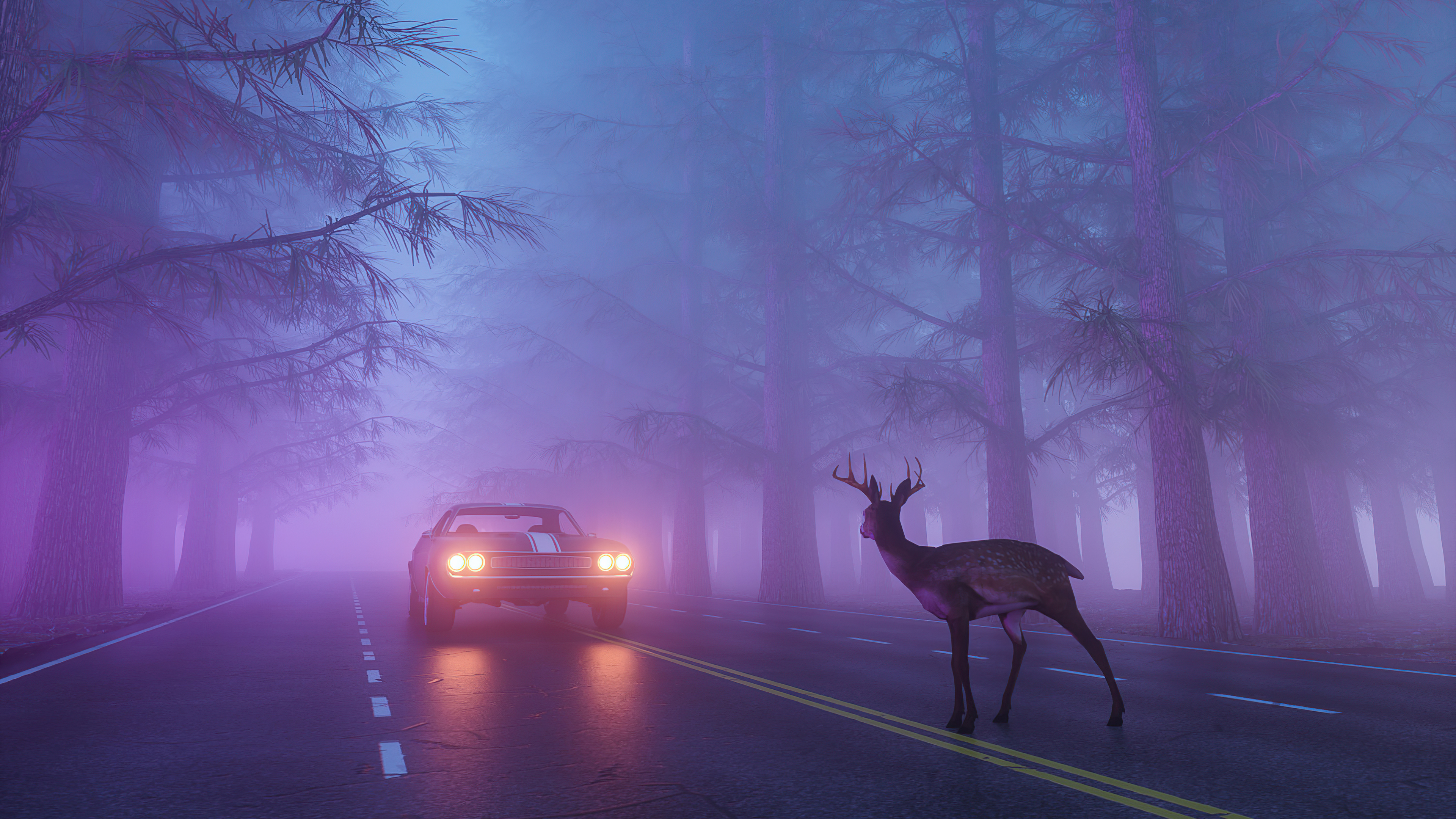 Deer on a foggy road with a car HD Wallpaper