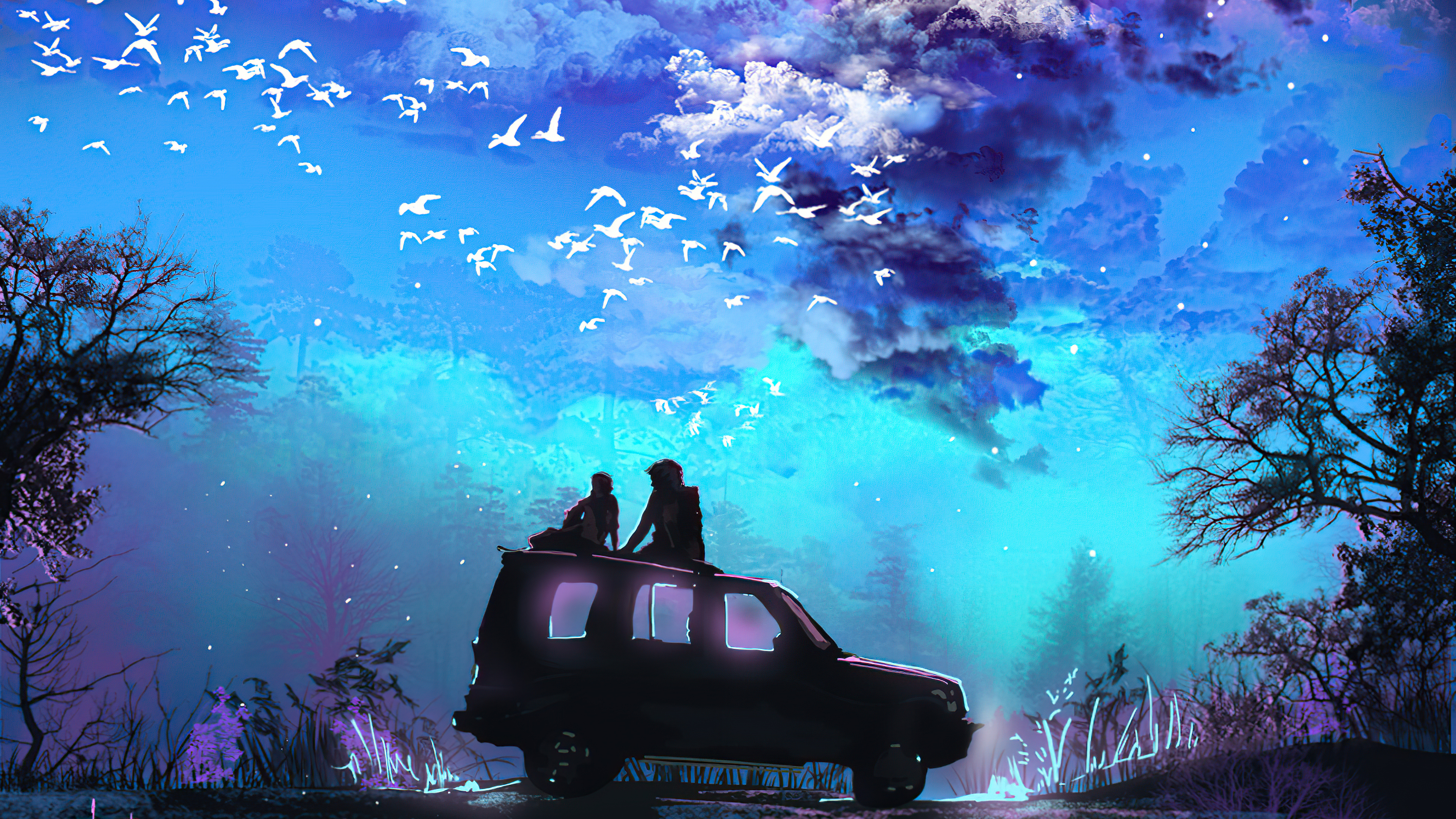 Two people on a car under a sky with birds and clouds HD Wallpaper
