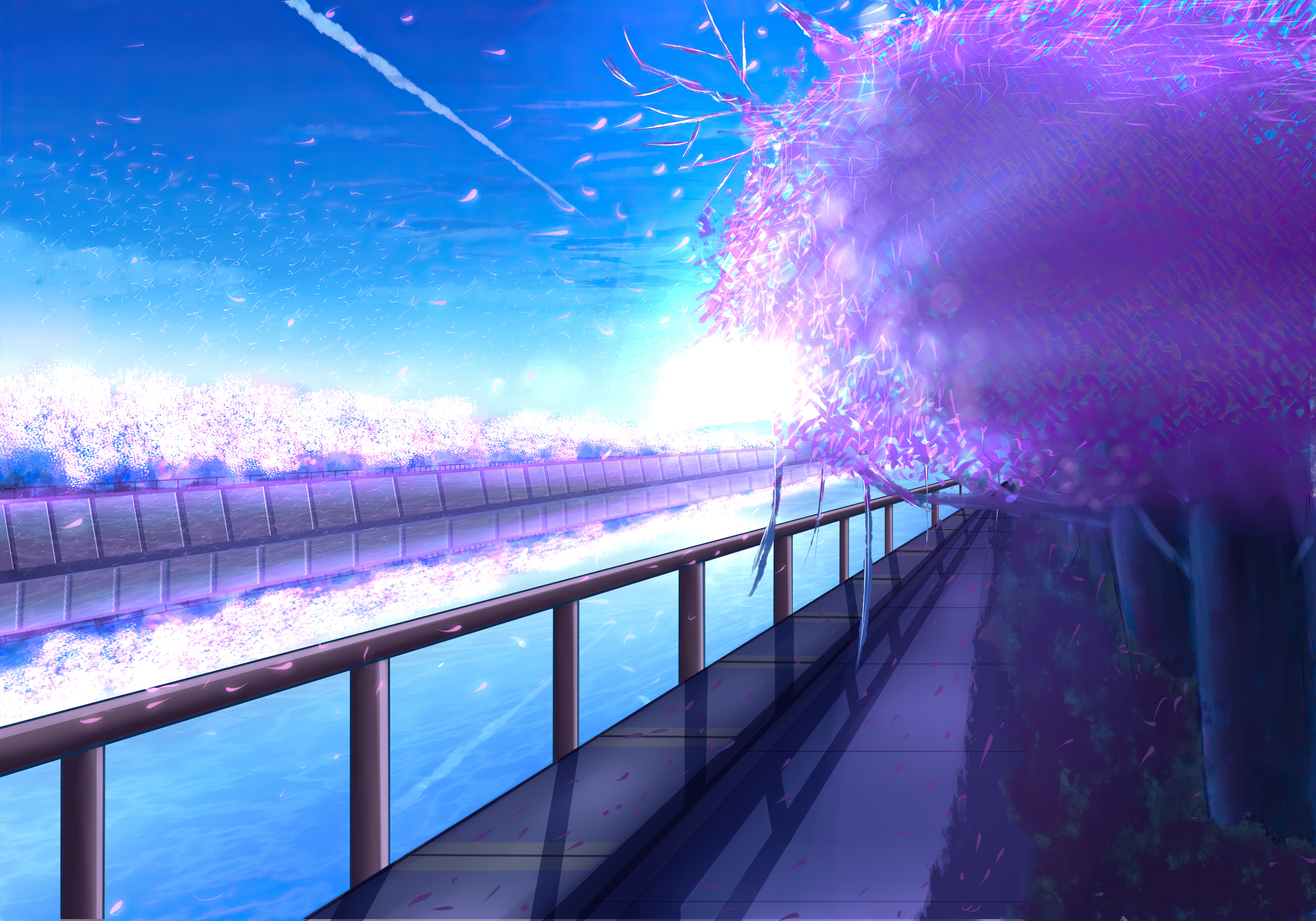 Anime artwork of a scenic river path with cherry blossoms HD Wallpaper