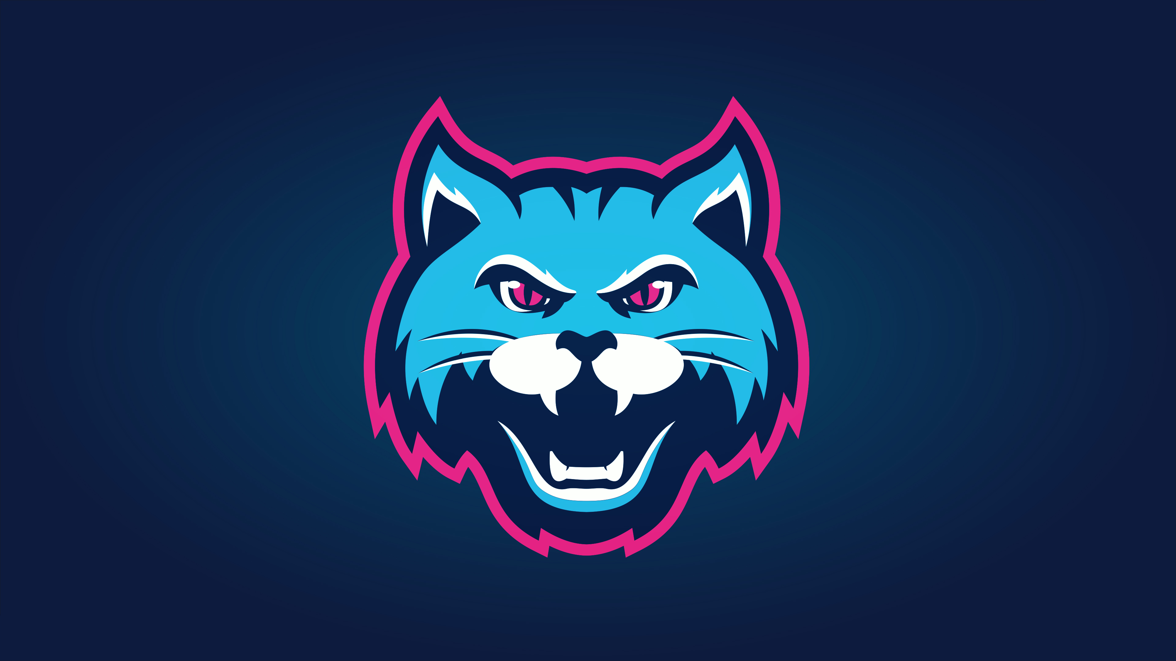 Minimalist cat logo artwork HD Wallpaper
