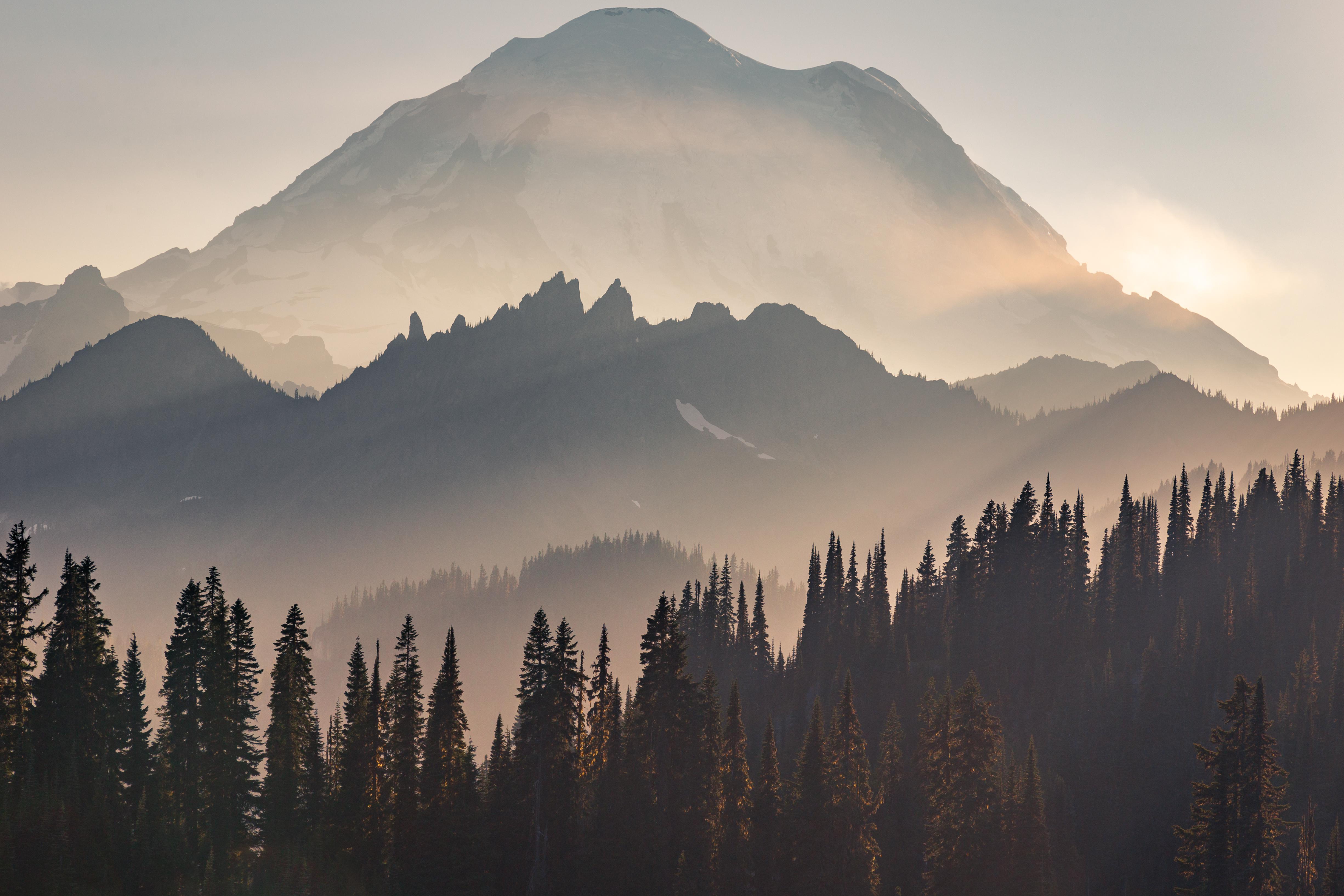 Misty mountains with sunbeams and pine forest HD Wallpaper