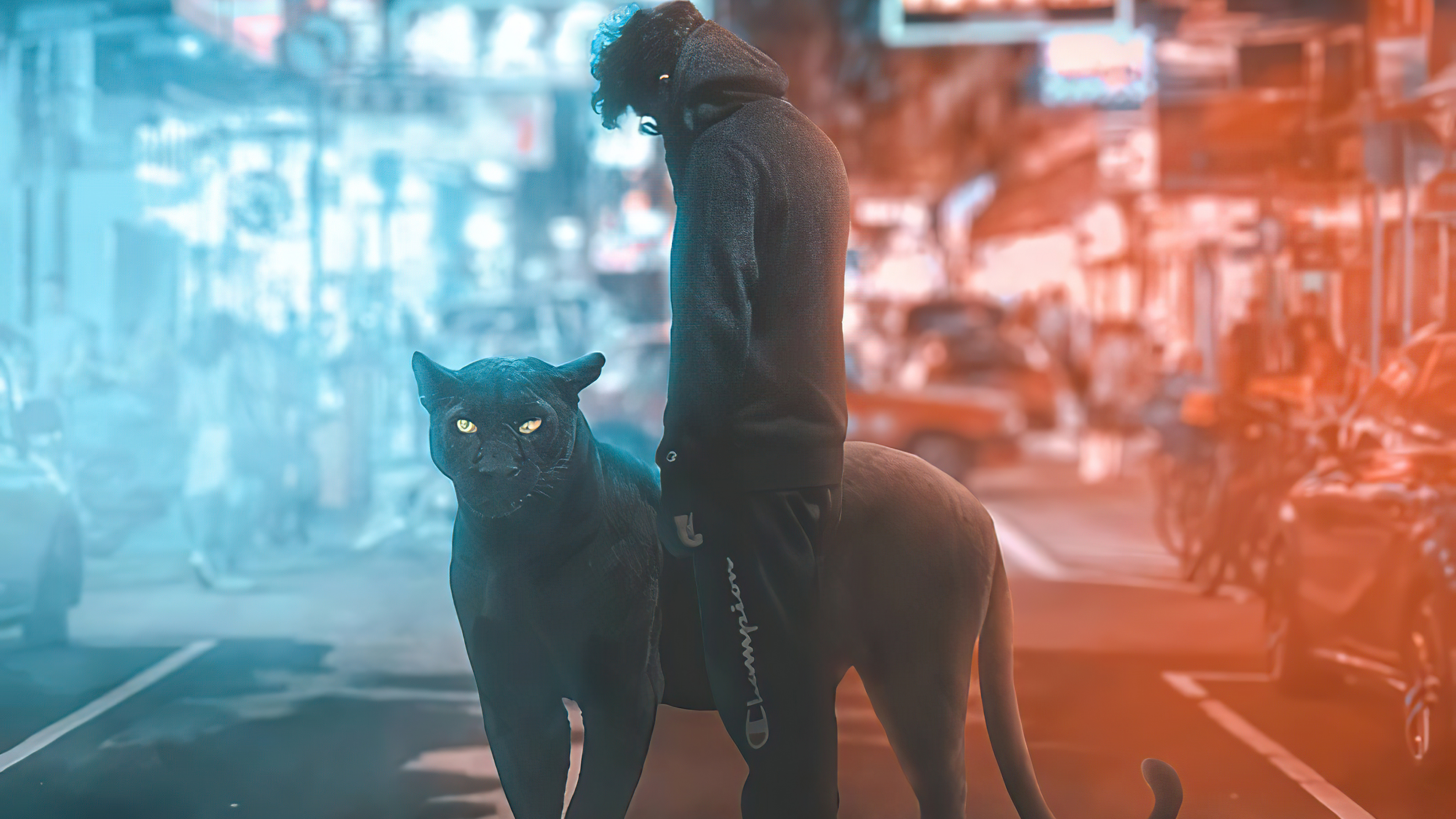 Digital art of a person with a black panther HD Wallpaper