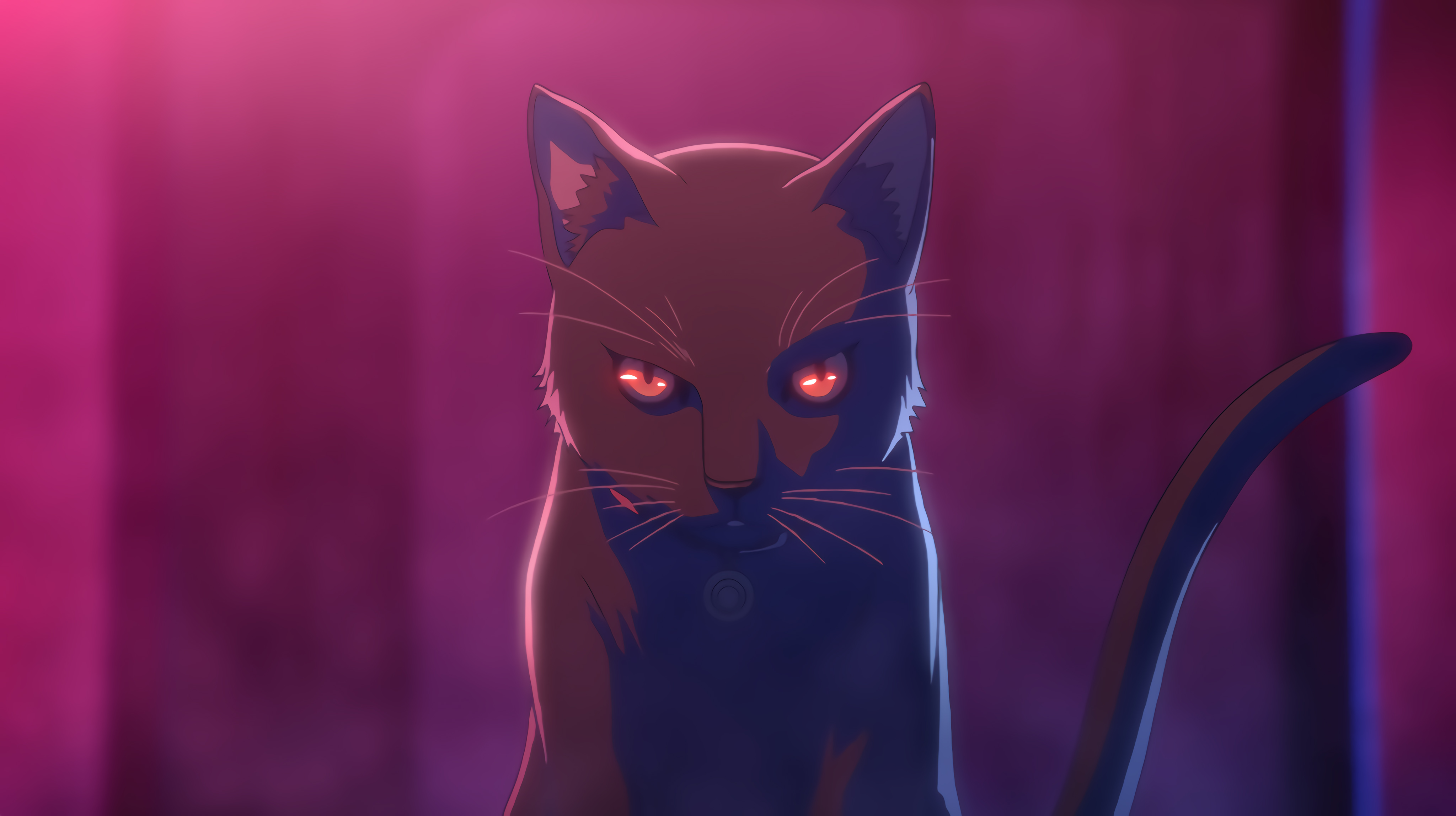 Anime cat with glowing red eyes HD Wallpaper