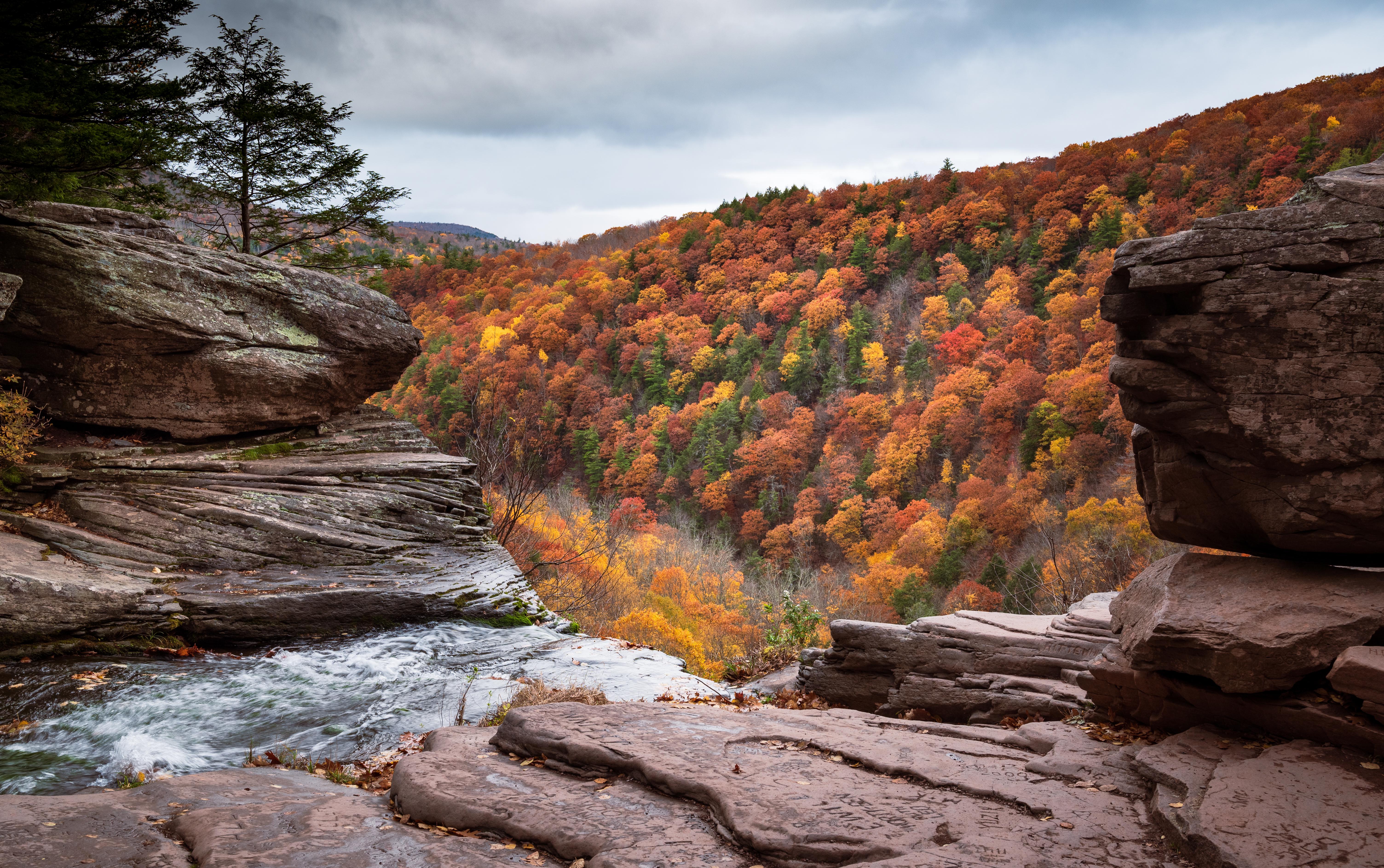 Autumn waterfall overlooking a forest in 4K HD Wallpaper
