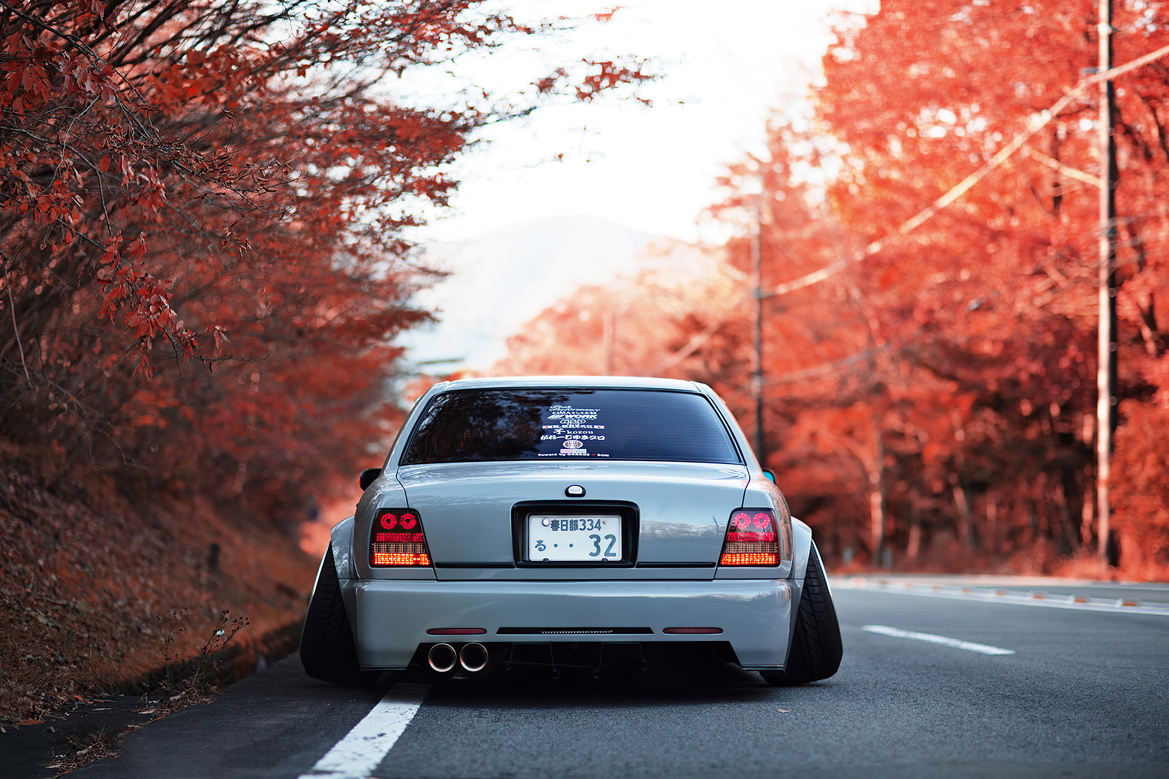 Grey sedan car in autumn forest road 4K HD Wallpaper