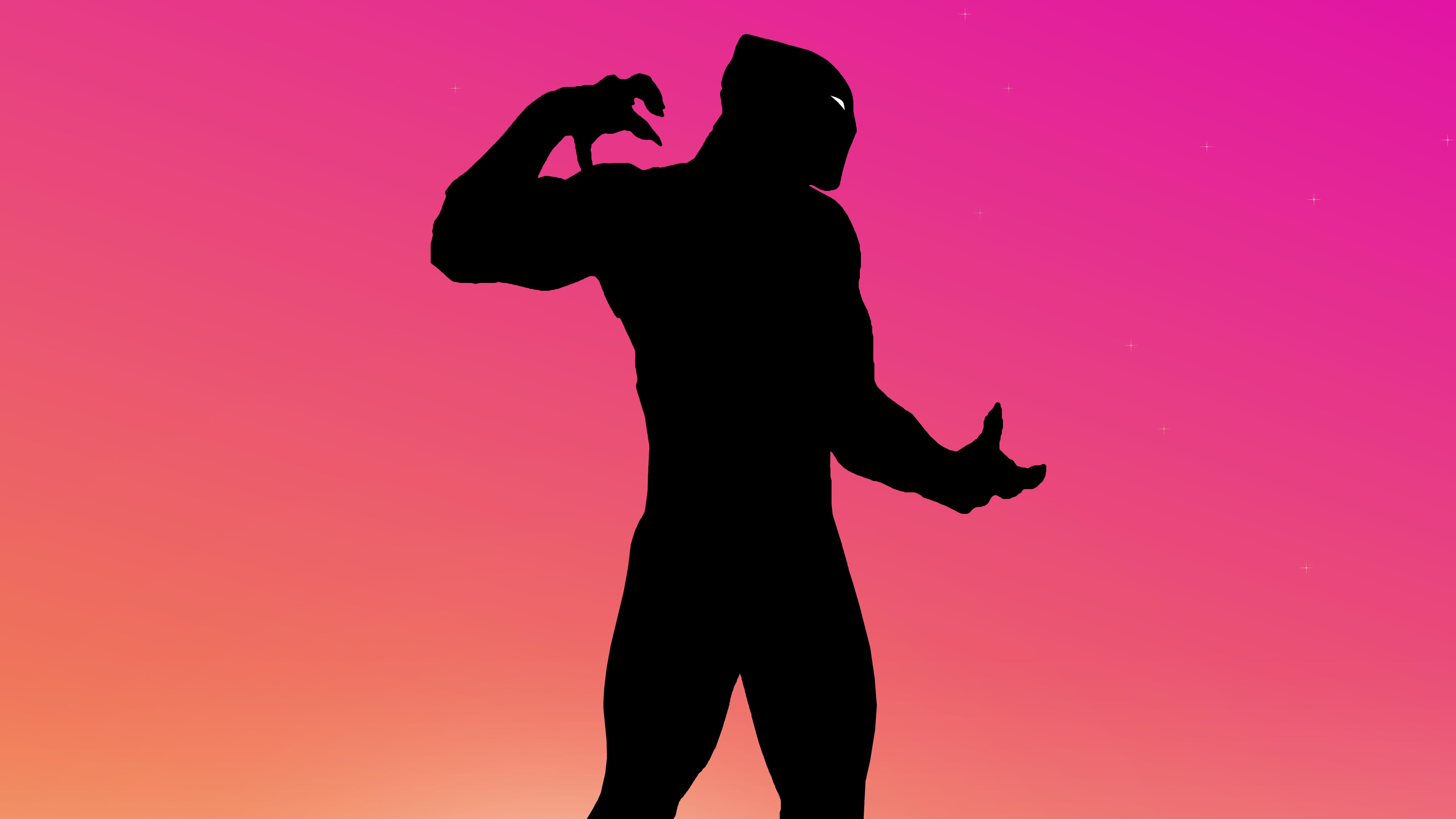 Black Panther silhouette against a gradient sky HD Wallpaper