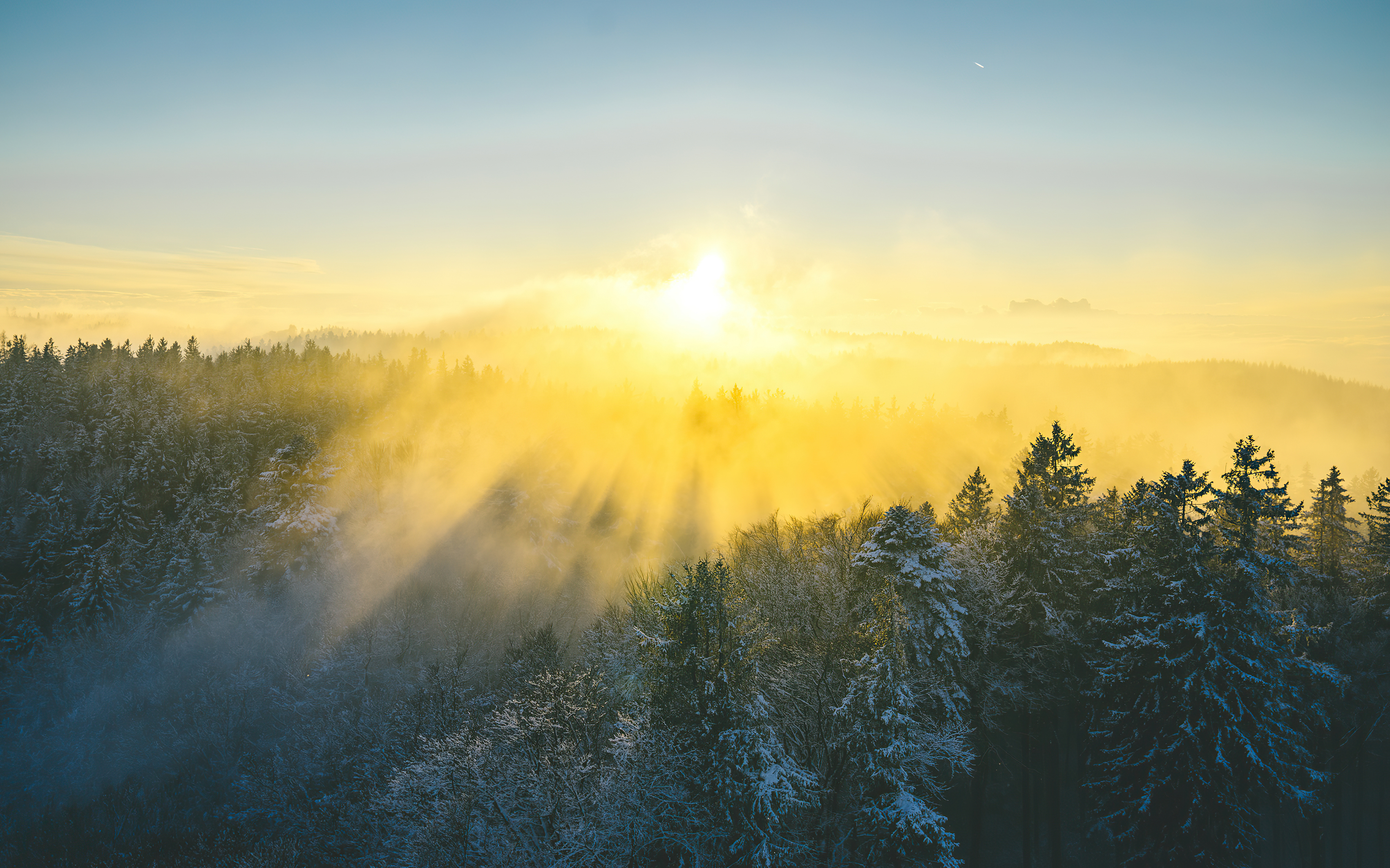 Sunrise over misty forest in winter, 4K HD Wallpaper