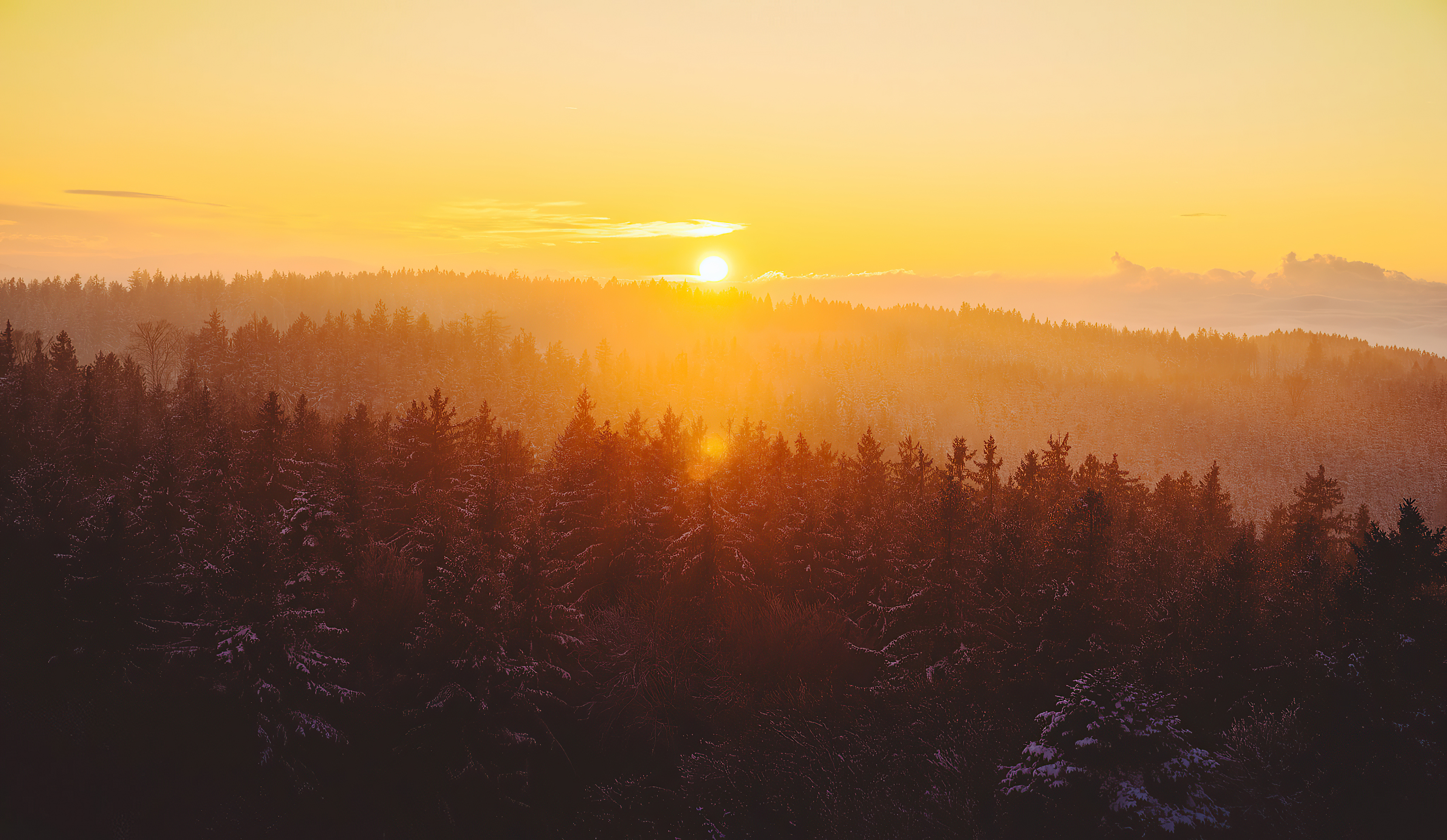 Sunset over a misty forest landscape 4K HD Wallpaper