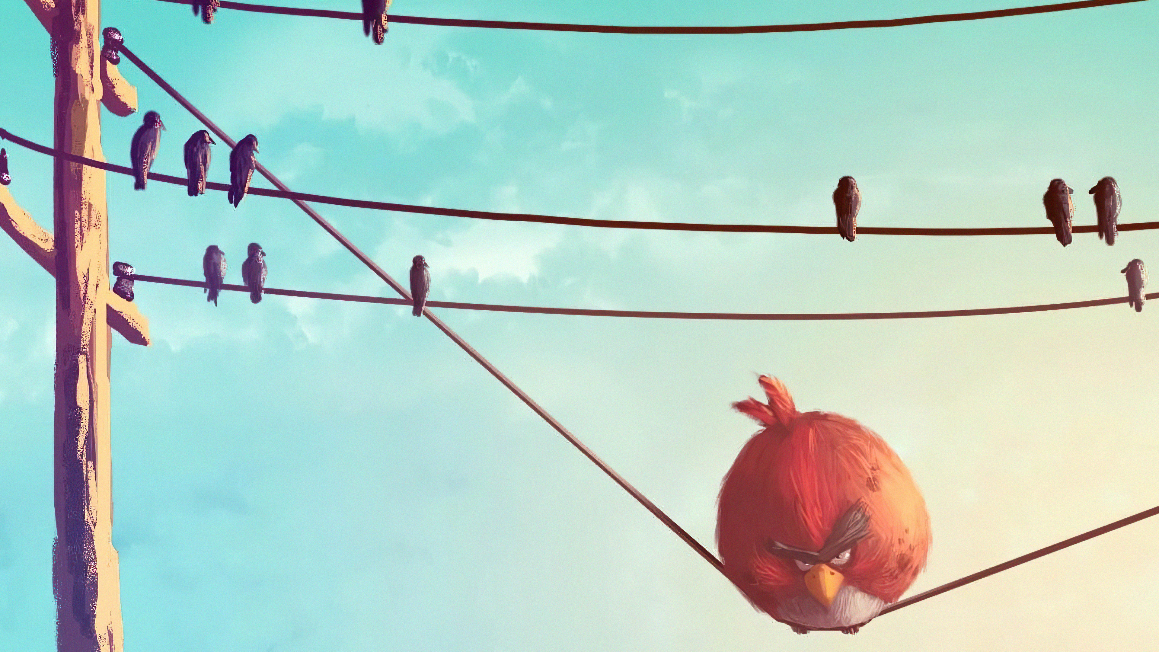 Angry Birds character on a telephone wire HD Wallpaper