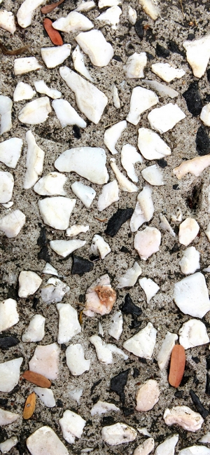 Close-up of terrazzo flooring with white and black stones