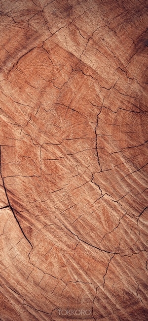Close-up of a cracked wood texture