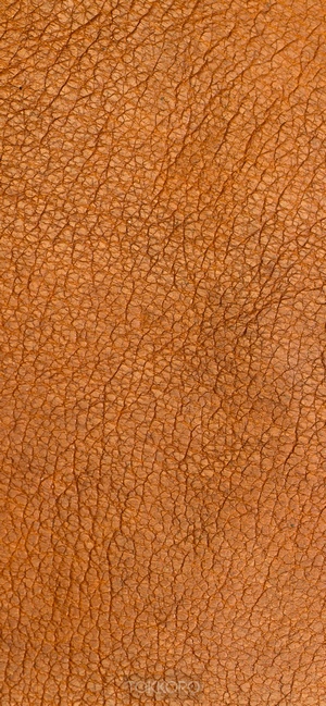 Brown leather texture