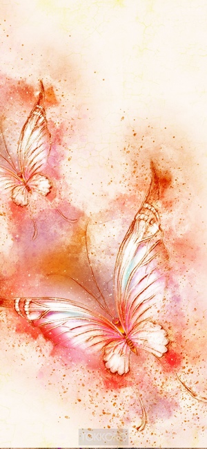 Two butterflies in watercolor style