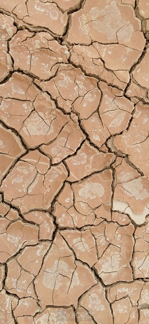 Cracked dry earth texture