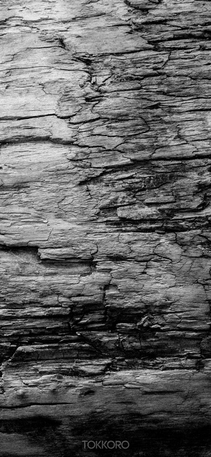 Close-up of weathered wood texture