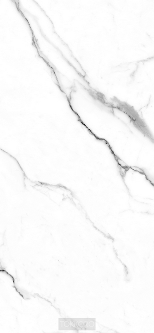 White marble texture with black veins
