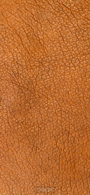 Brown leather texture