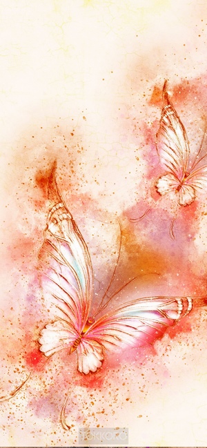 Watercolor drawing of two butterflies